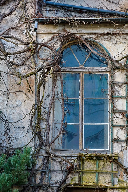 RP Remagen Hotel Rheingold-Bellevue Rolandseck RP Remagen Hotel Rheingold-Bellevue Rolandseck