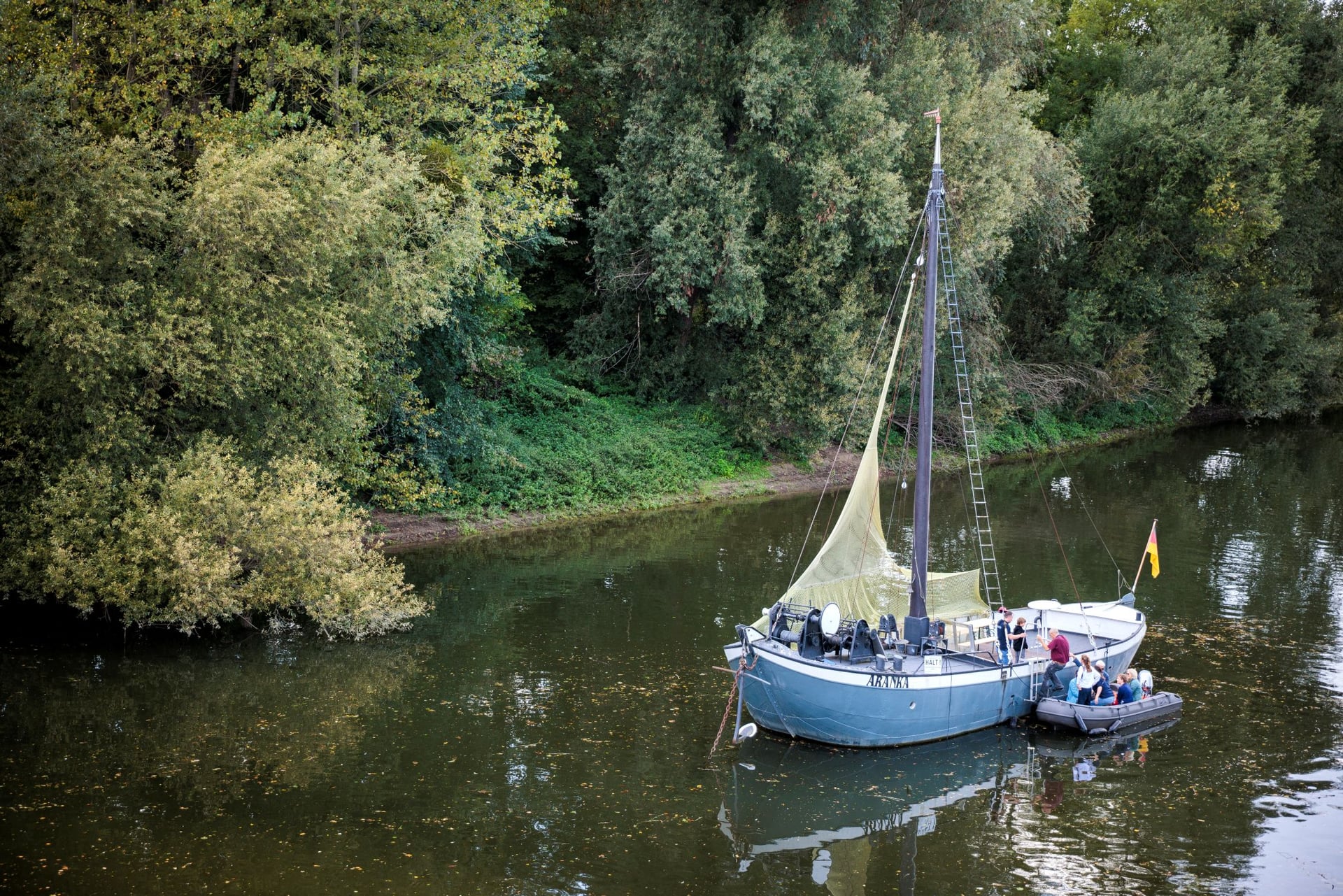 Aalschokker Aranka Aalschokker Aranka