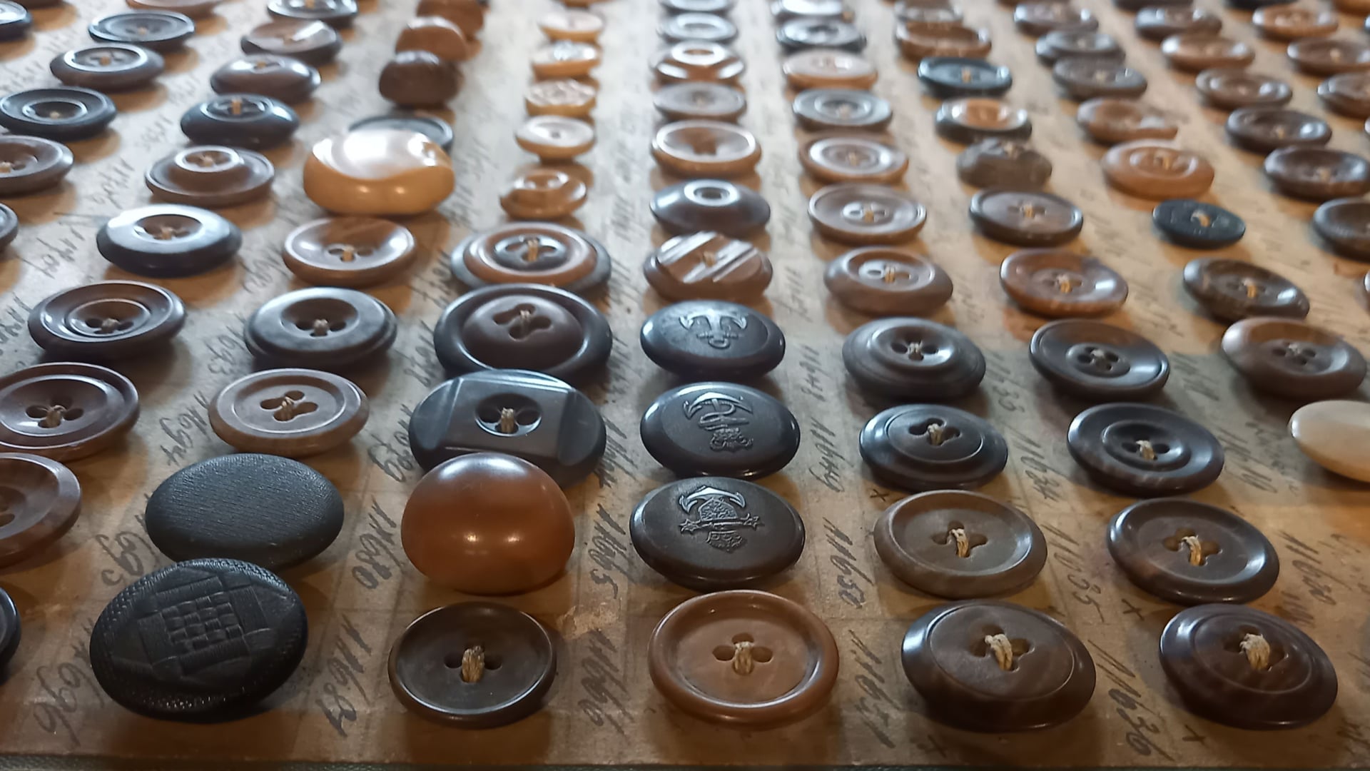 Fotoquelle: Petra Neumann