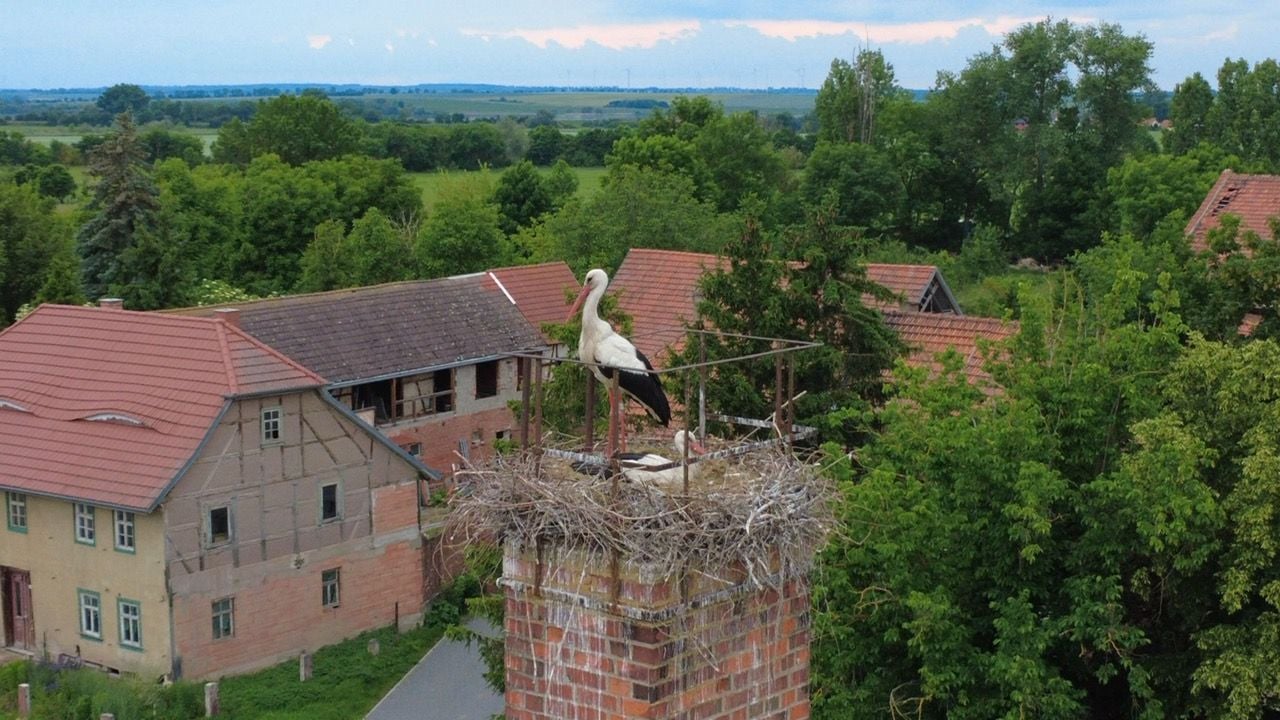 Fotoquelle: Steffen Goldberg