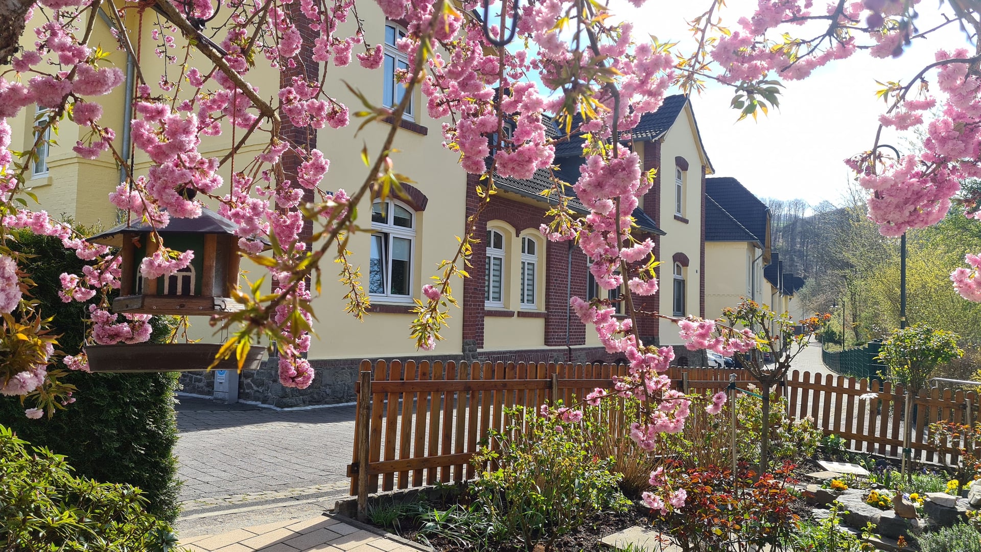 Fotoquelle: Aykut Aggül