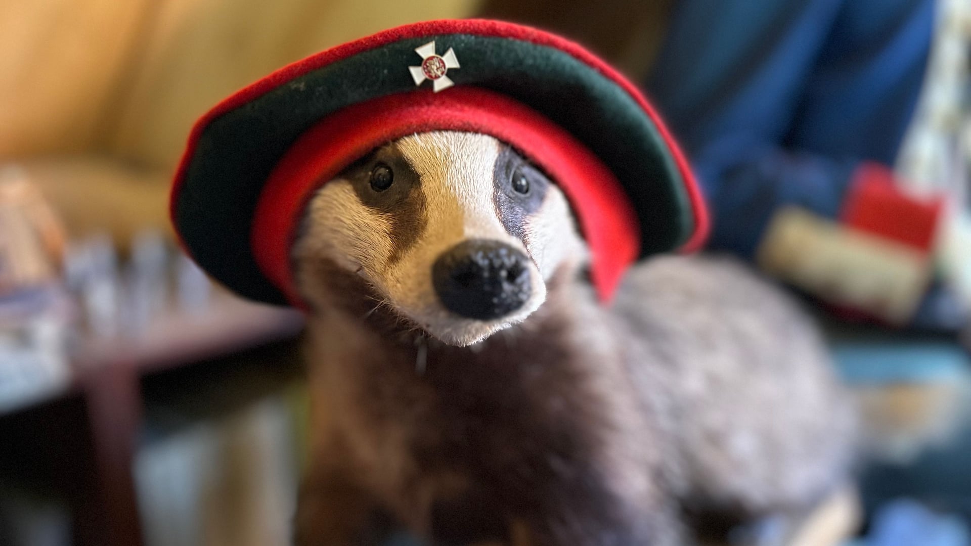 Fotoquelle: Juliane Gucinski