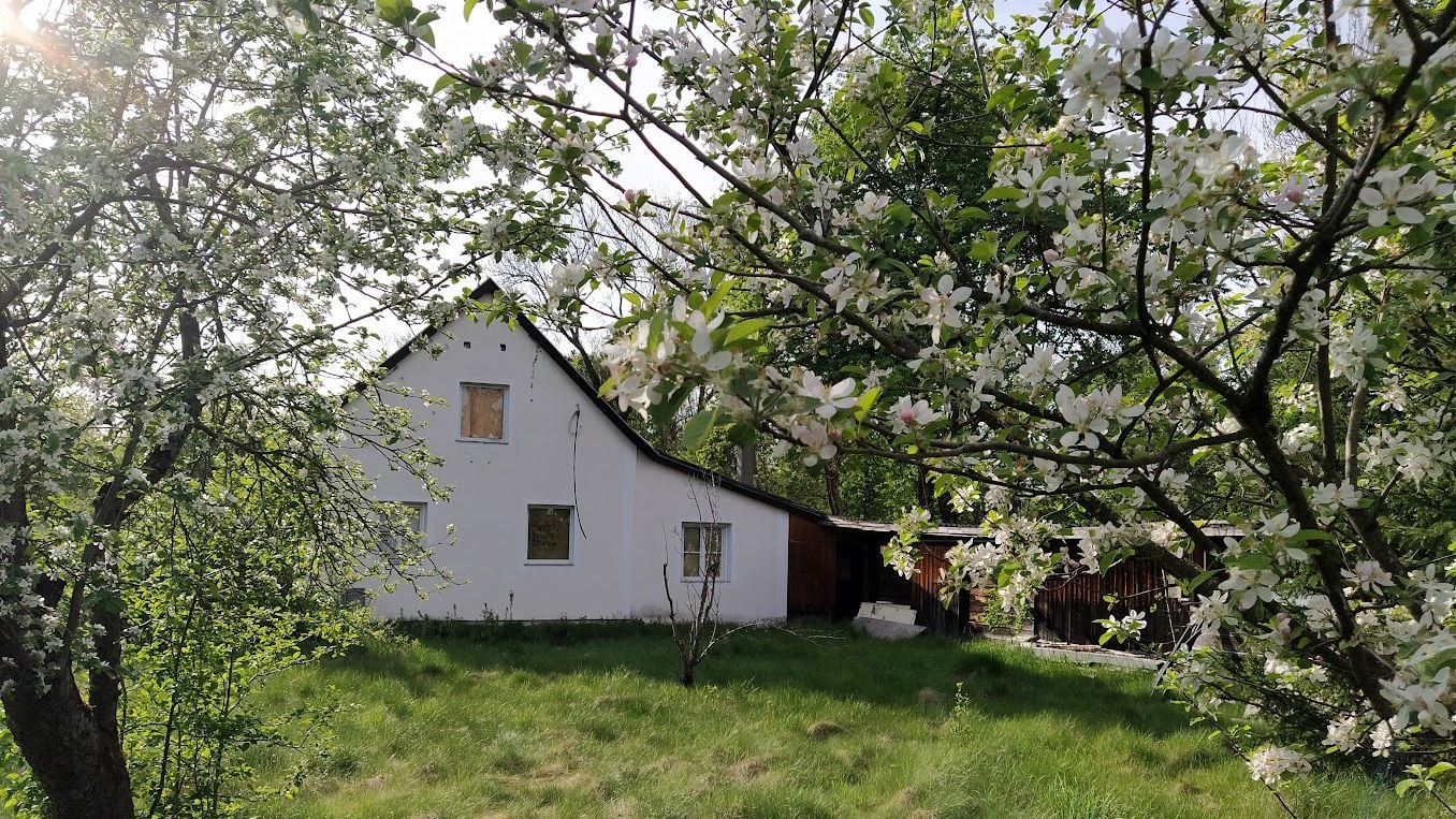 Fotoquelle: Irene Gronegger