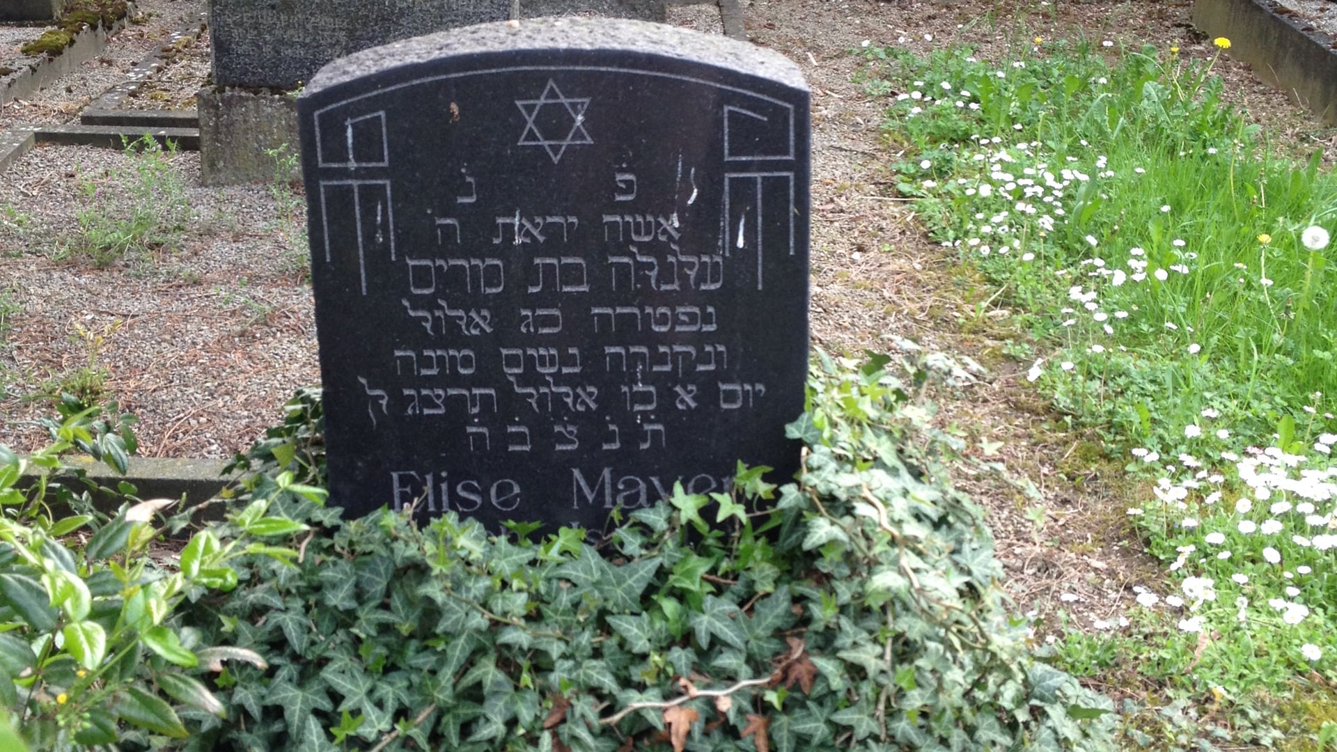 Fotoquelle: Cornelia Schmidt