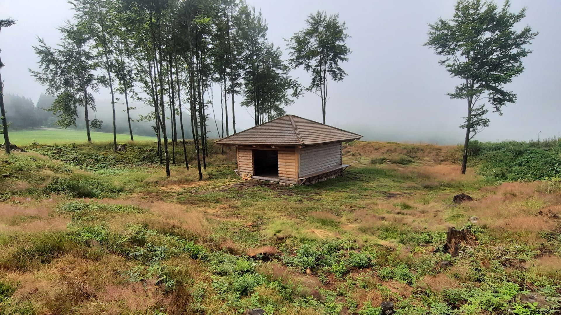 Fotoquelle: Bertram Jenisch