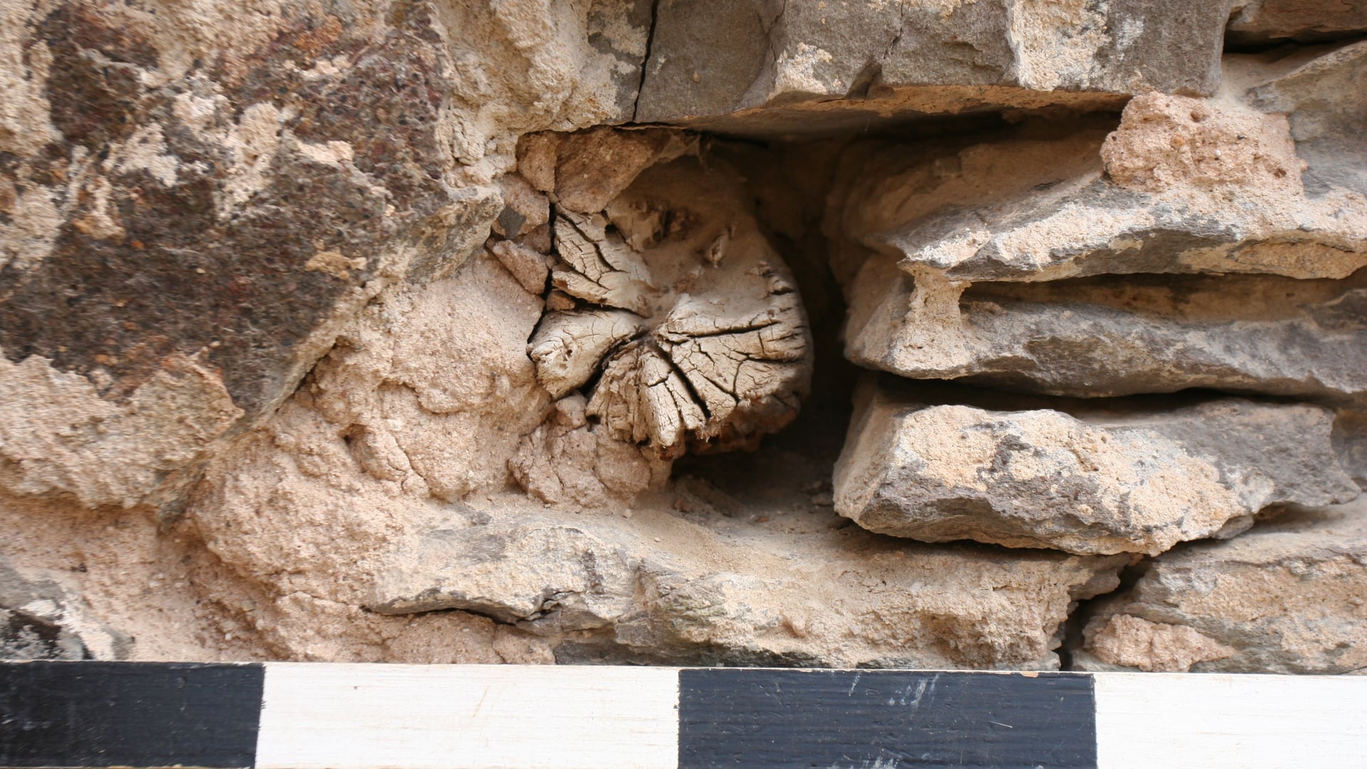 Fotoquelle: M.Bernast