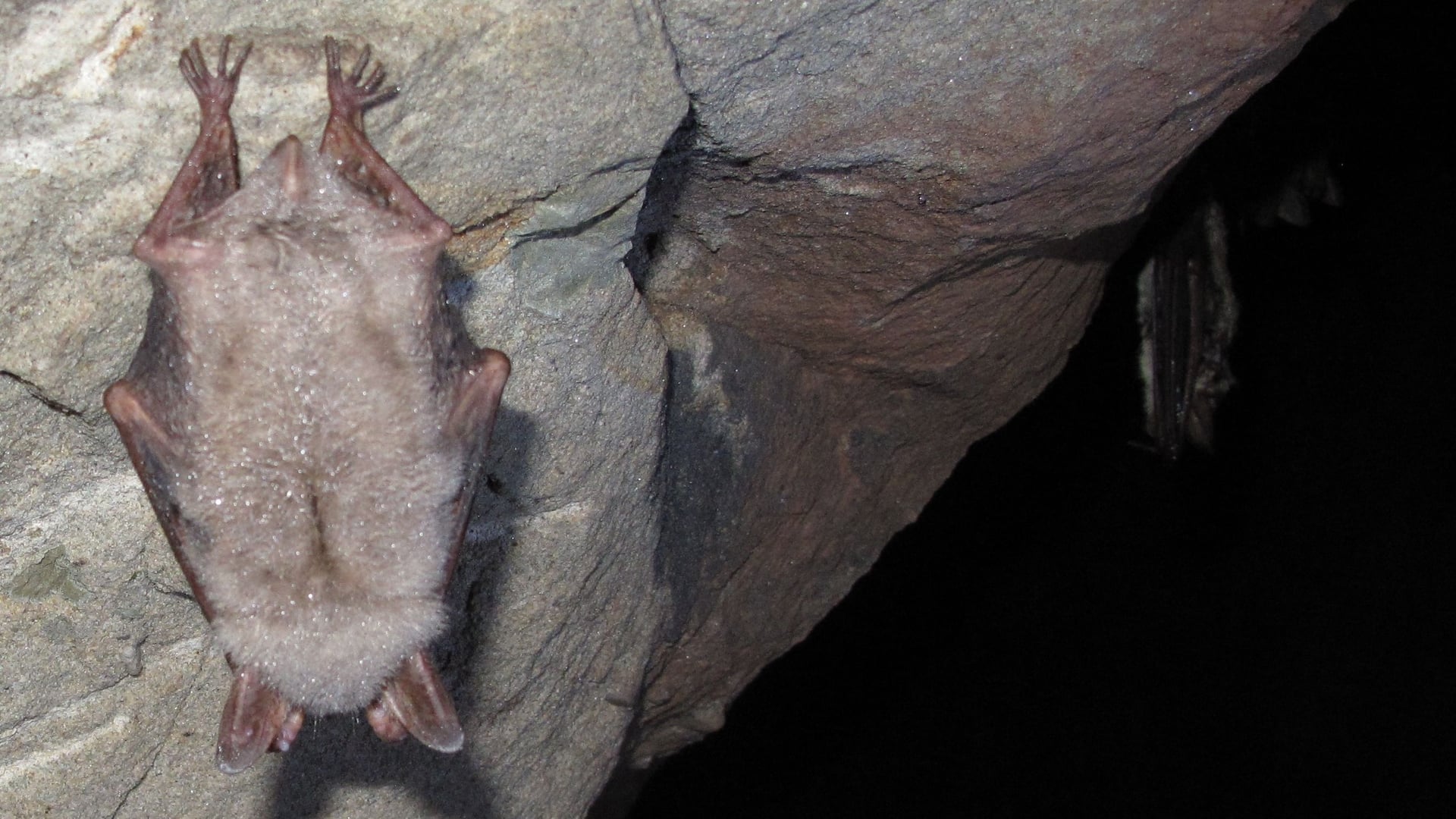 Fotoquelle: Heinrich Wagner