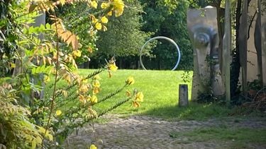 Fotoquelle: Hartmut Witte