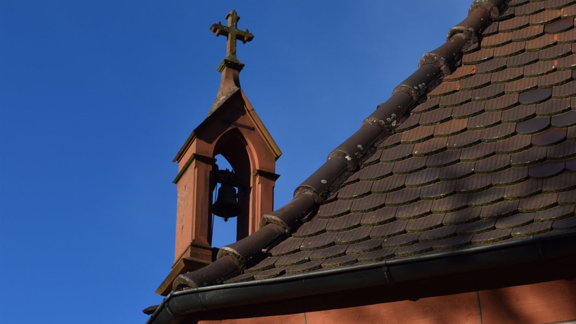 Fotoquelle: Thomas Ehret