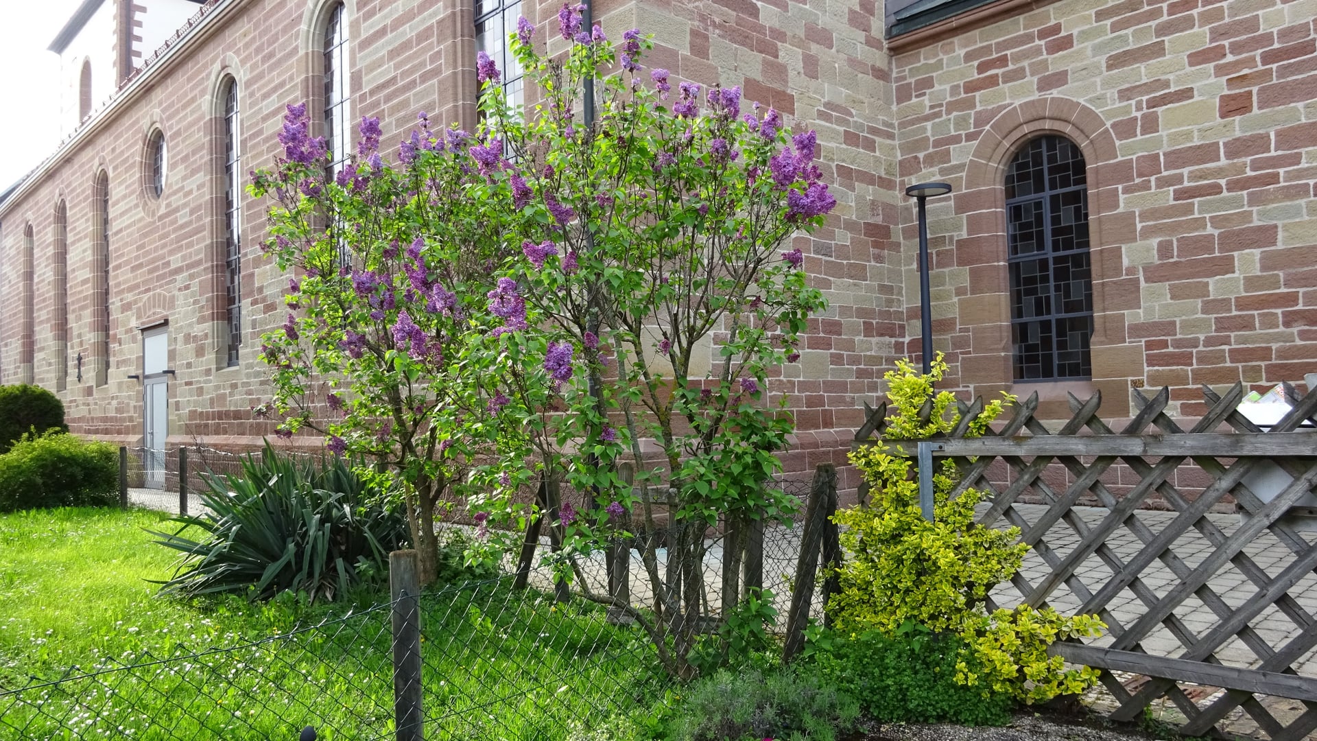 Fotoquelle: Siegfried Beilharz