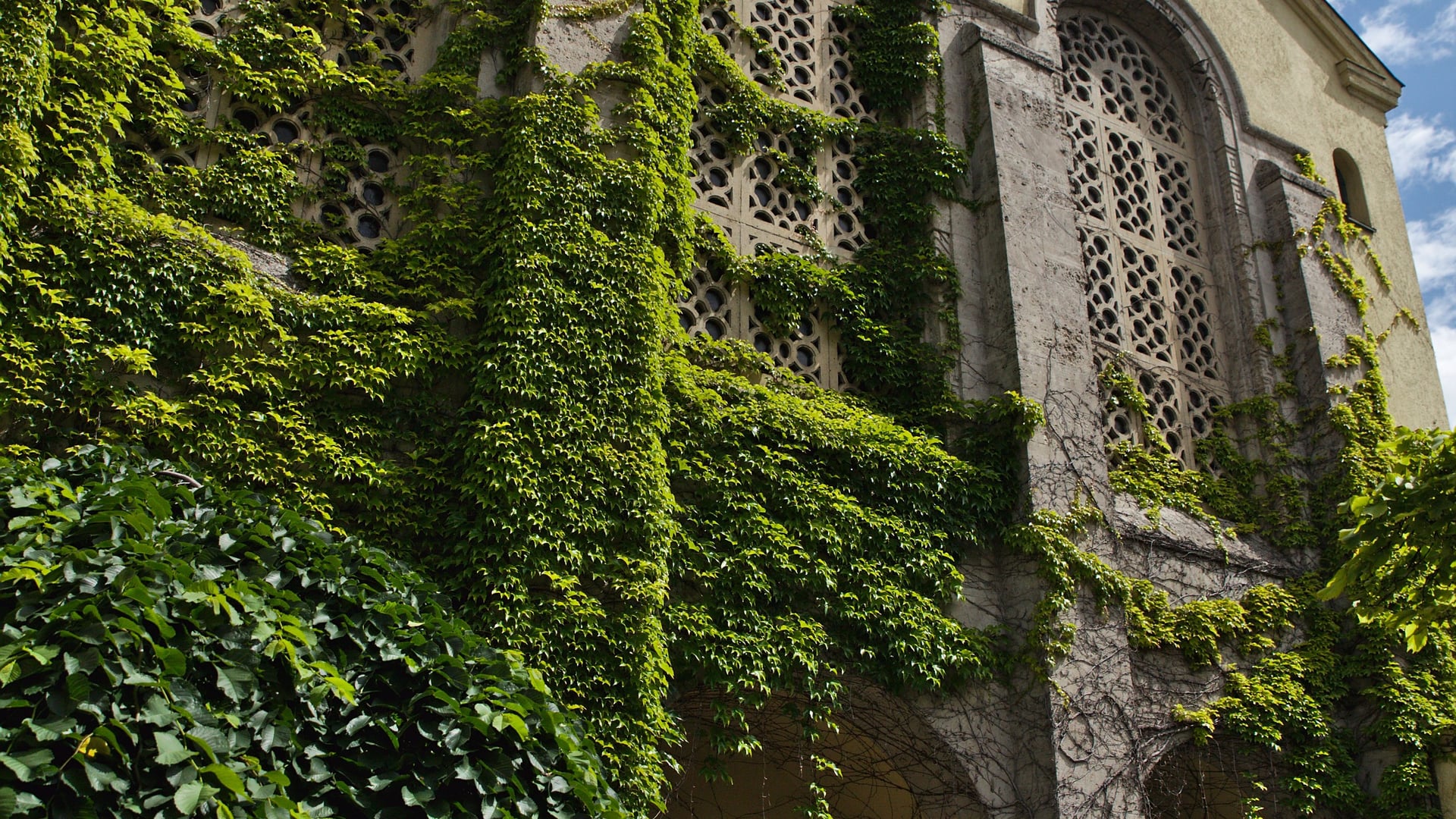 Fotoquelle: Ilya Kotov/JMAS