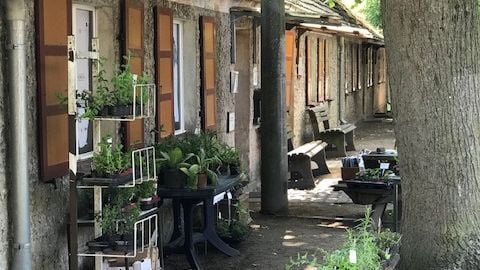 Fotoquelle: Verein Langes Haus Altfriedland