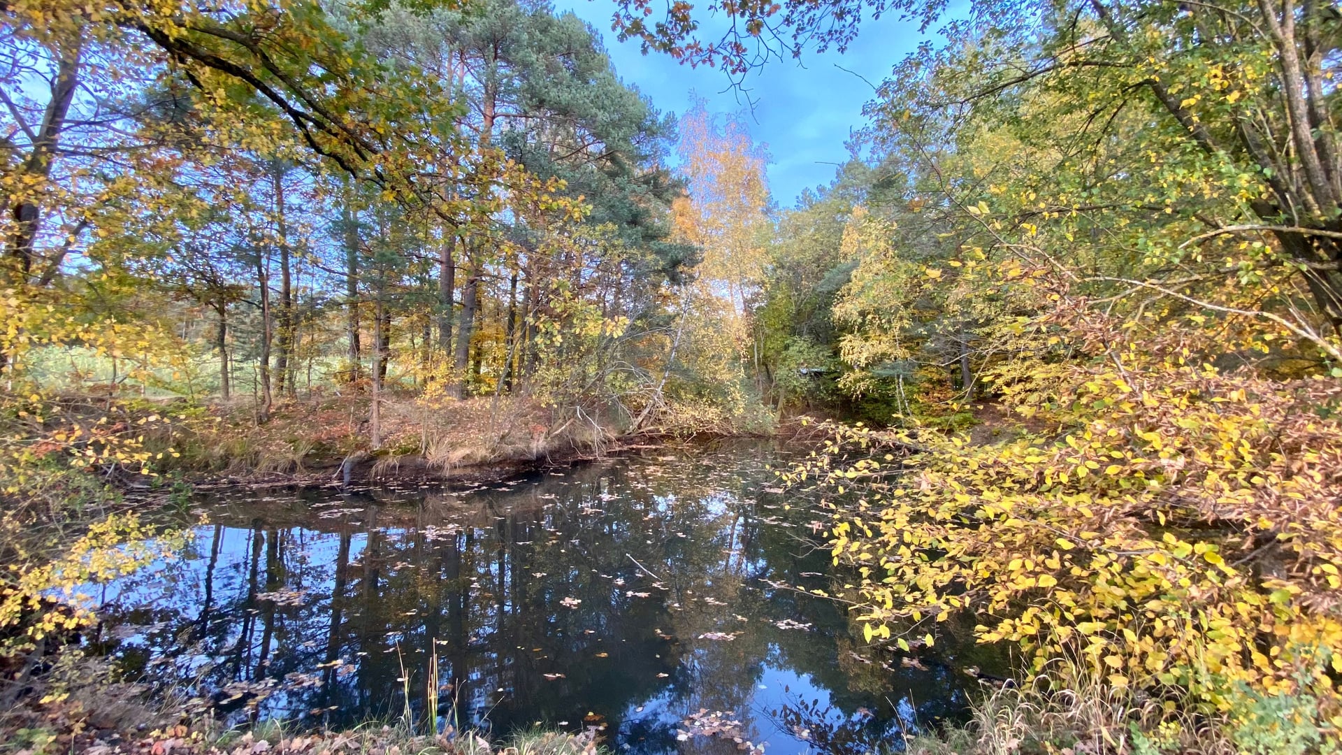 Fotoquelle: Jasna Blaic
