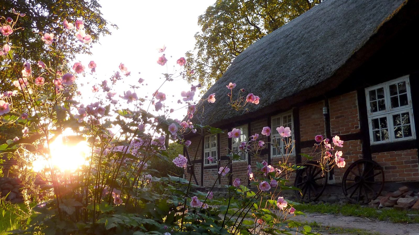 Fotoquelle: Christian Bauer