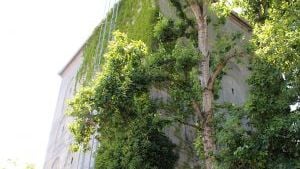 Fotoquelle: Arbeitskreis-Bunkermuseum-Ludwigshafen e.V.