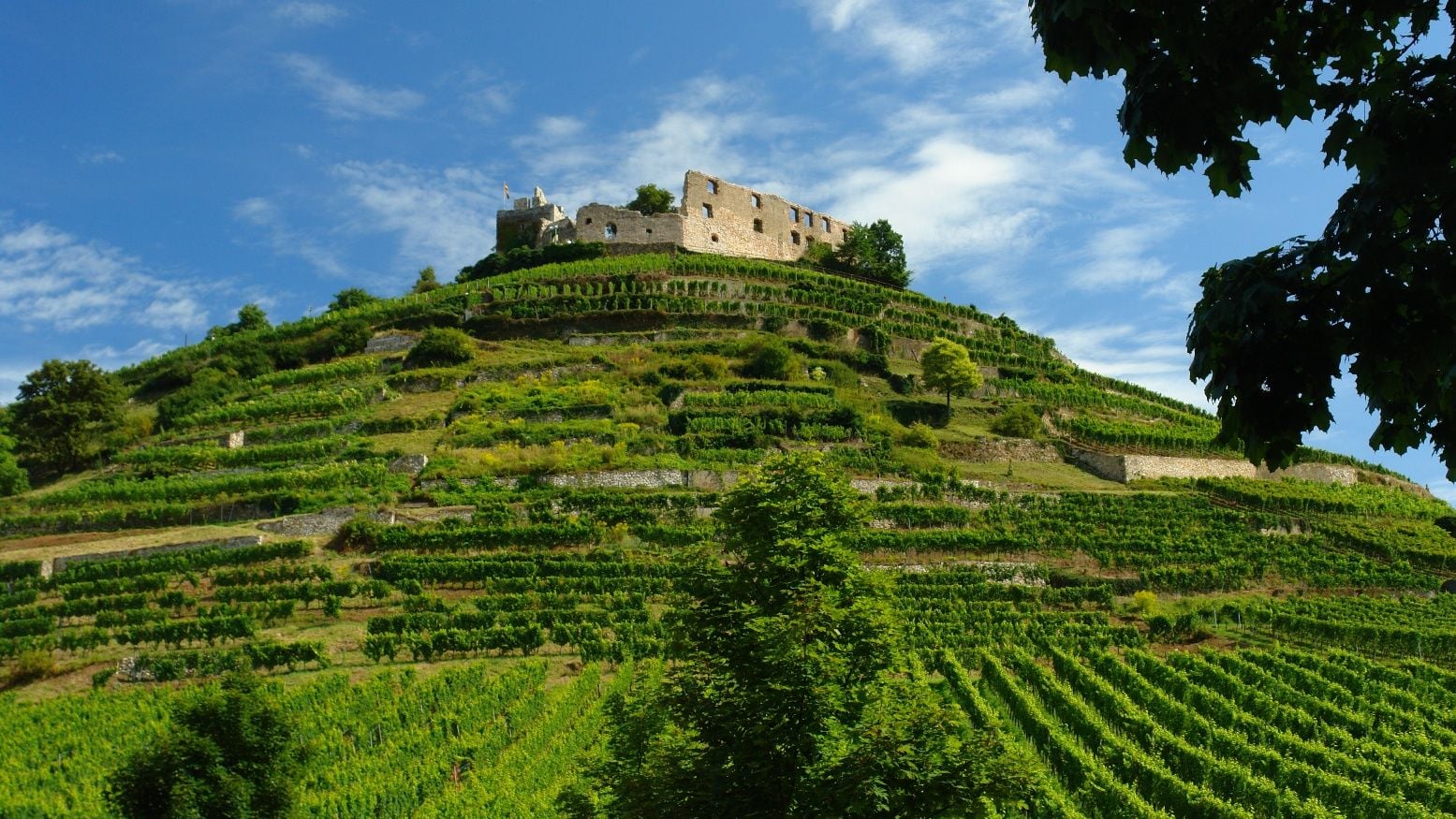 Fotoquelle: Stadt Staufen