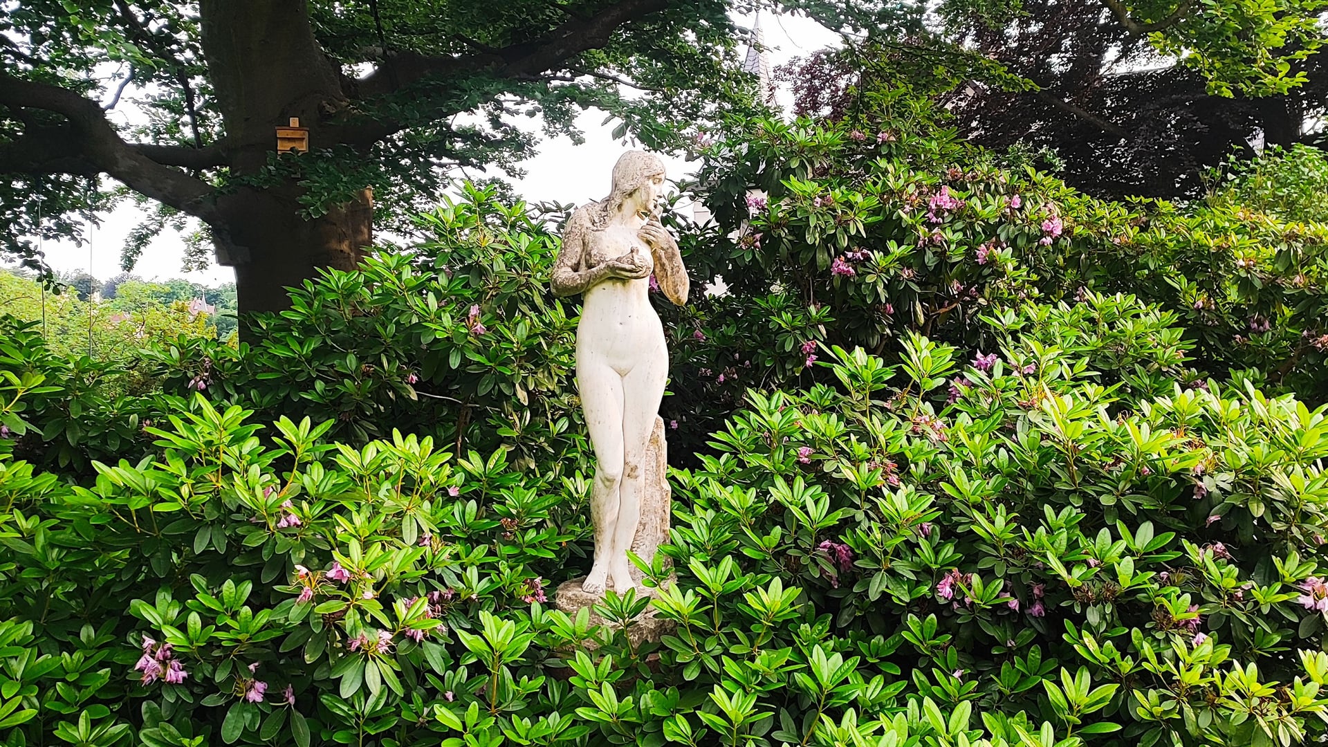 Fotoquelle: Markus Woschni