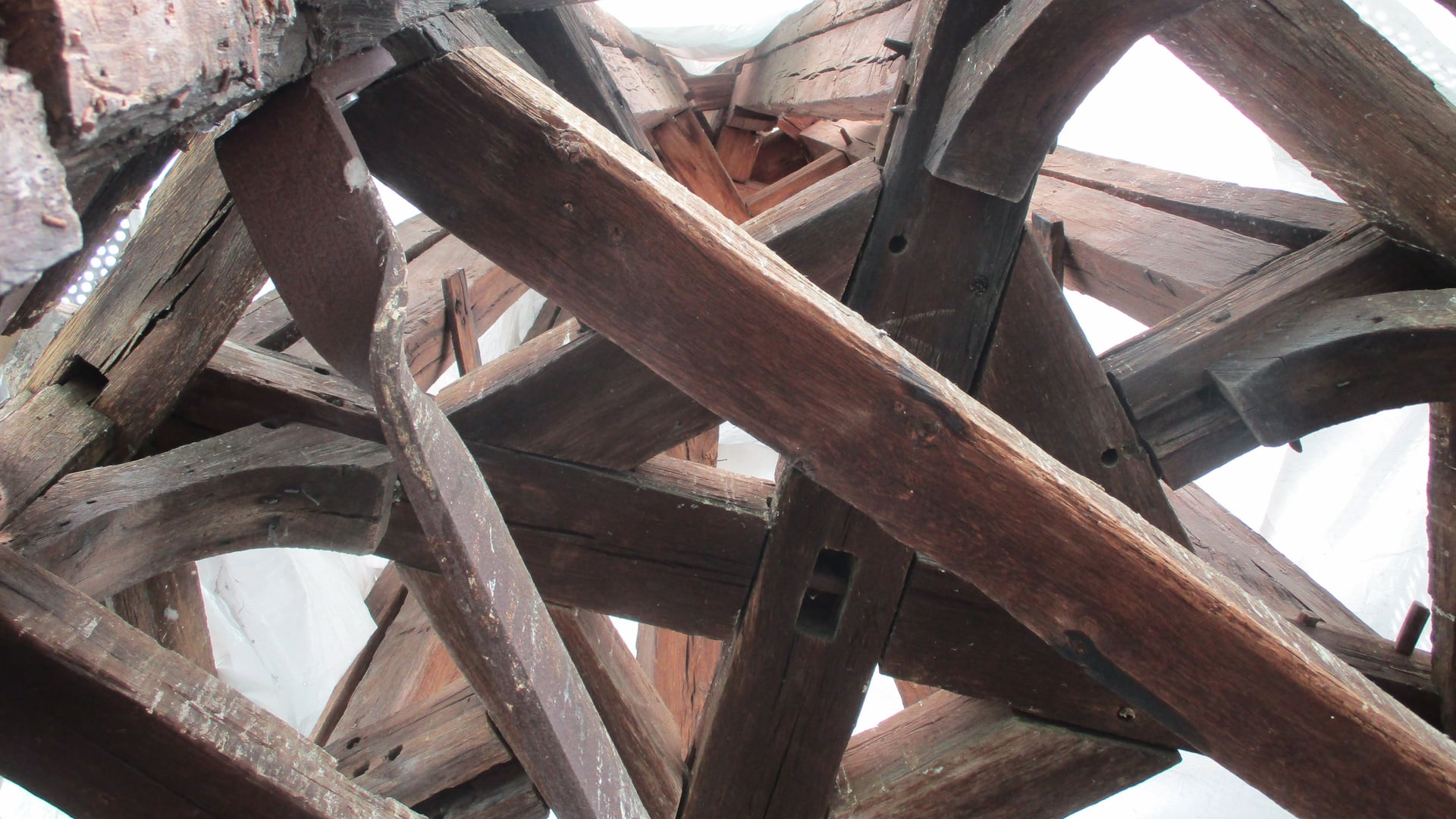 Fotoquelle: Franziska Ihle-Wirth UDB Fulda