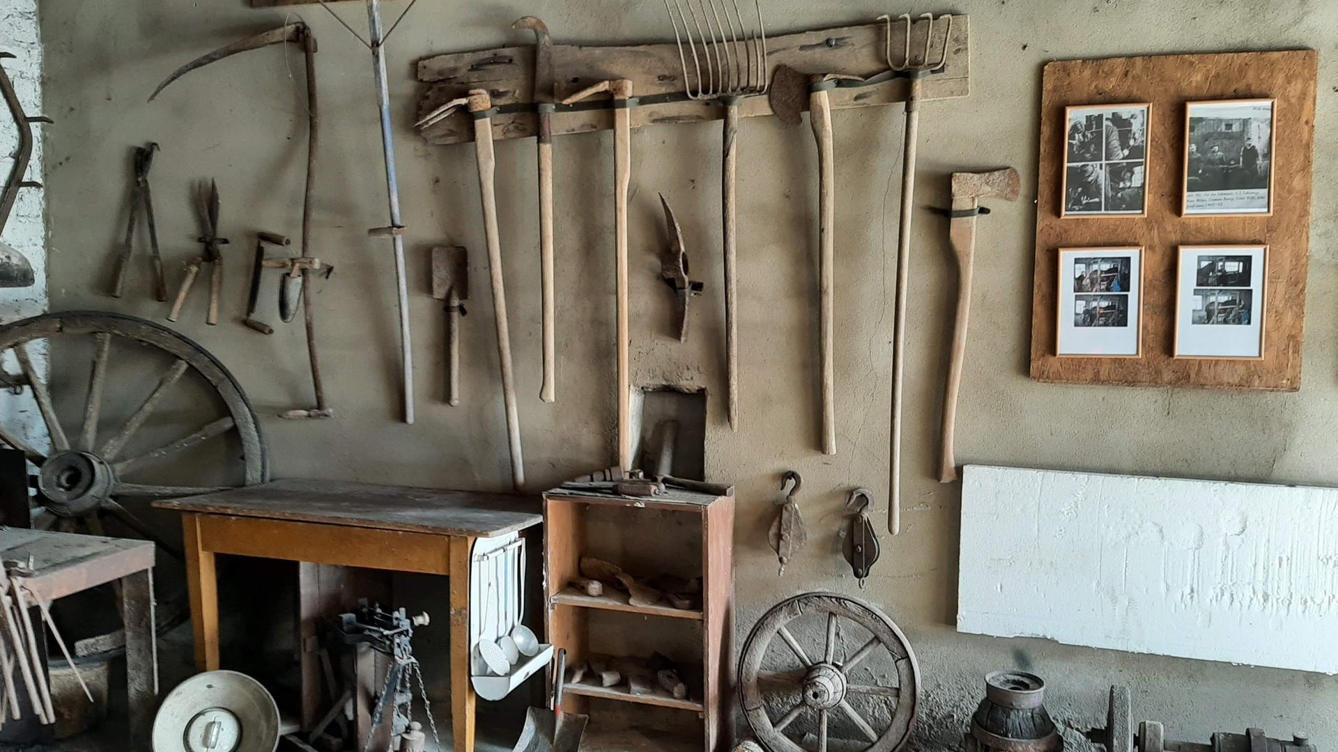 Fotoquelle: H. Ronig