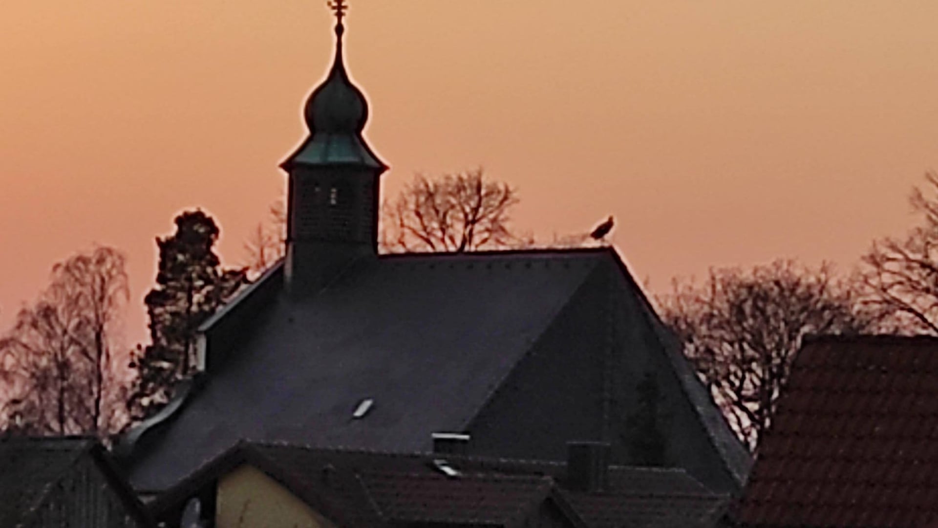 Fotoquelle: Harald Puckschamel