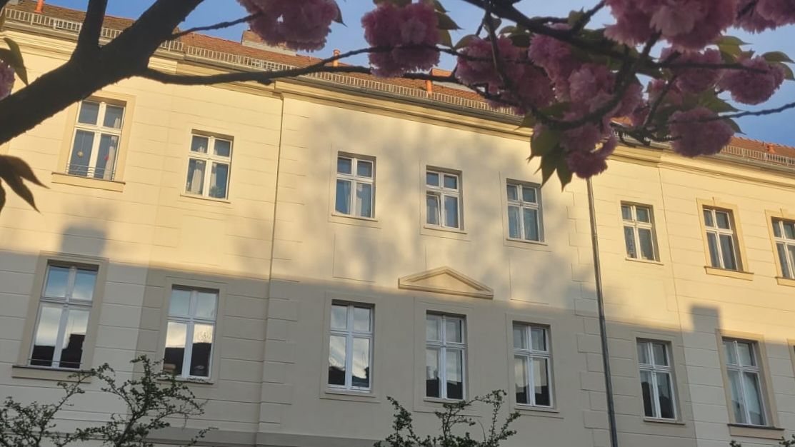 Fotoquelle: Flora Maass