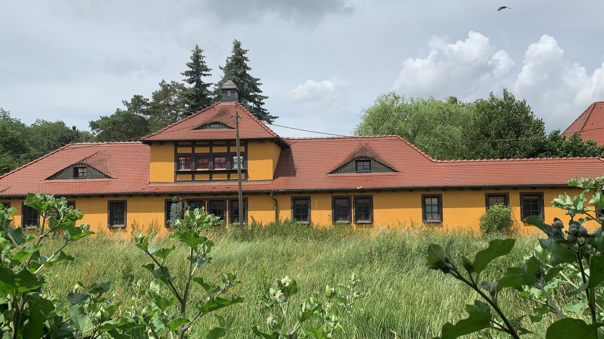 Fotoquelle: Dr. Karla Amm