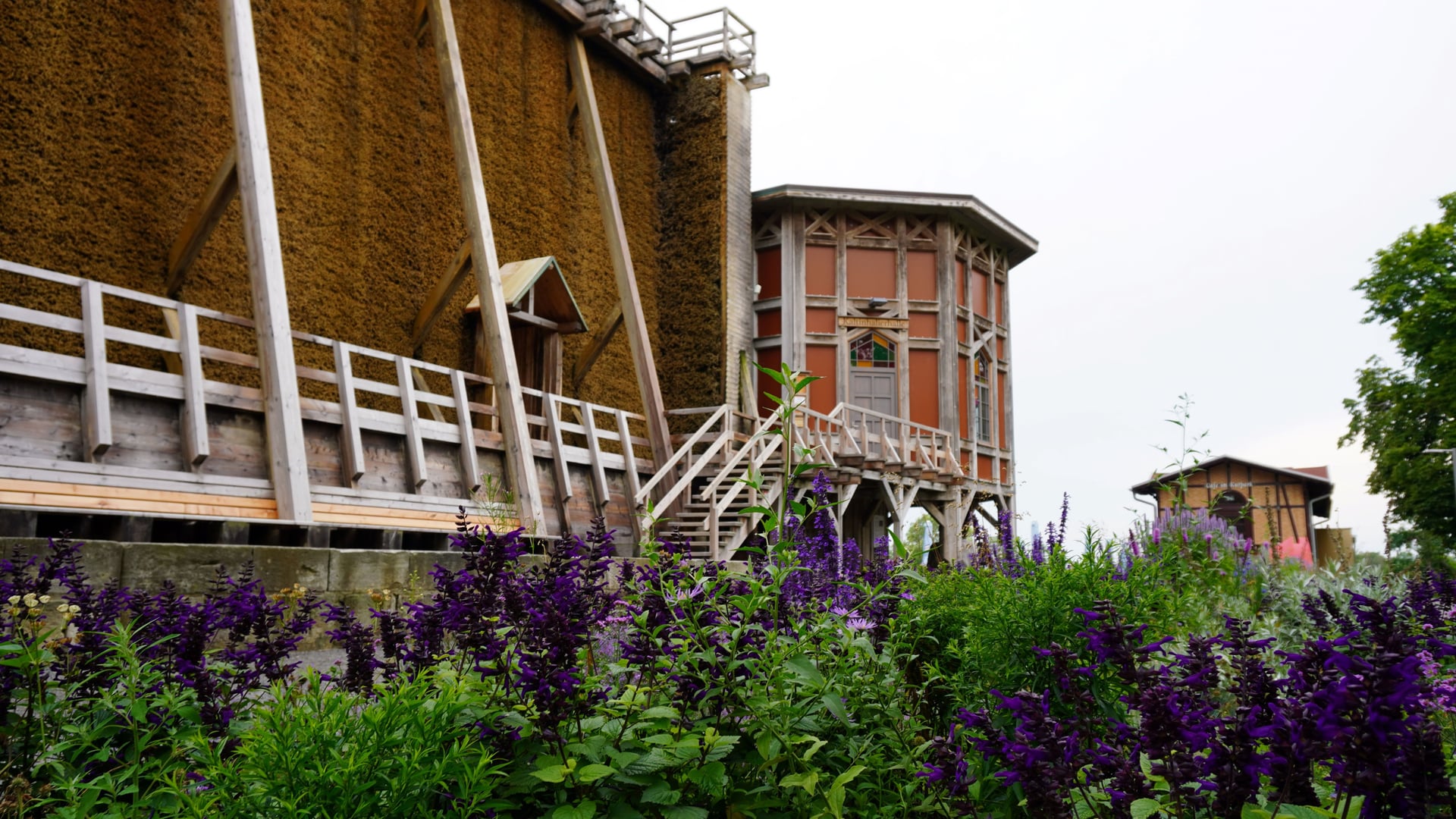 Fotoquelle: Laura Weihrauch