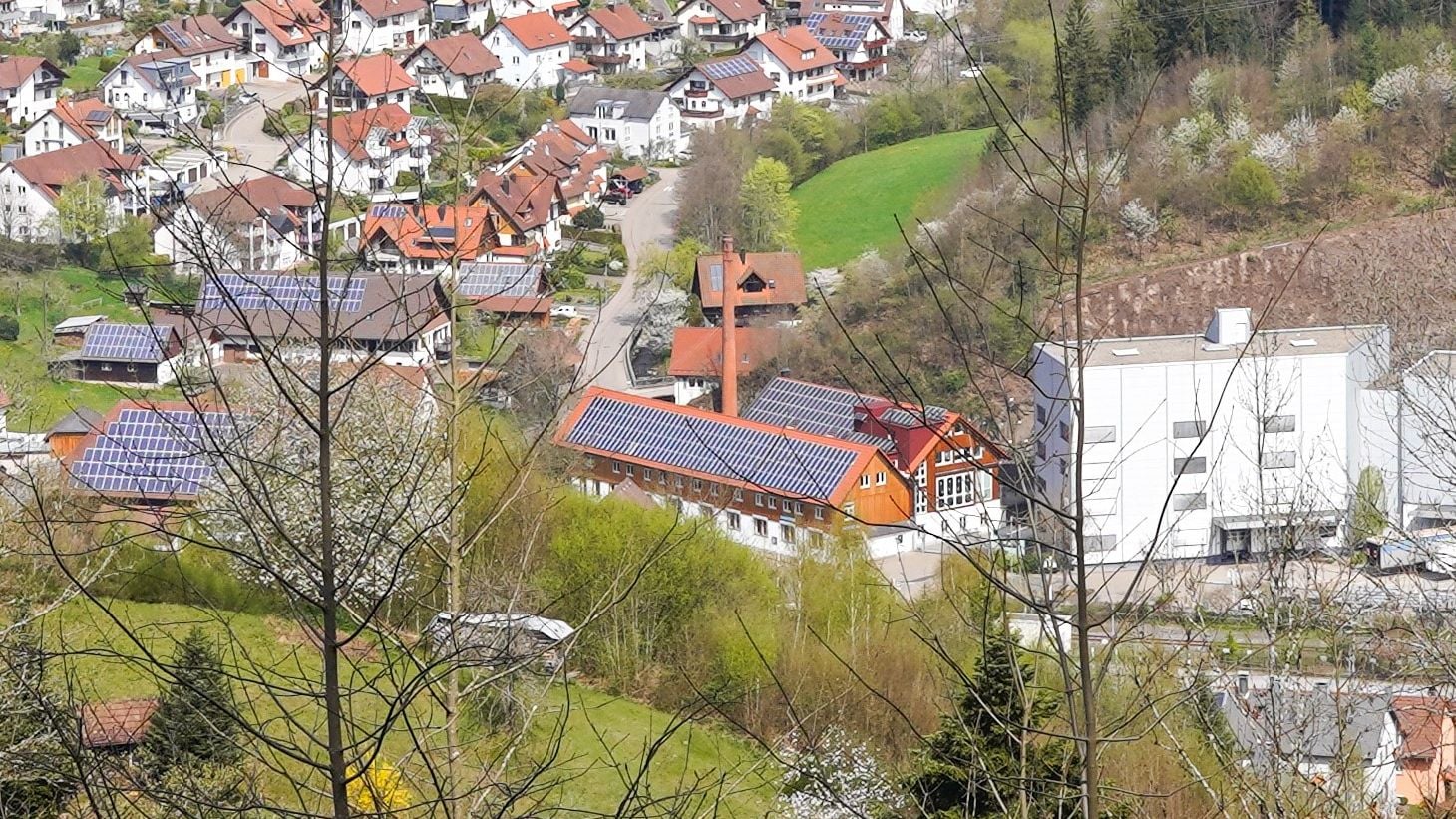 Fotoquelle: Michael Buzzi