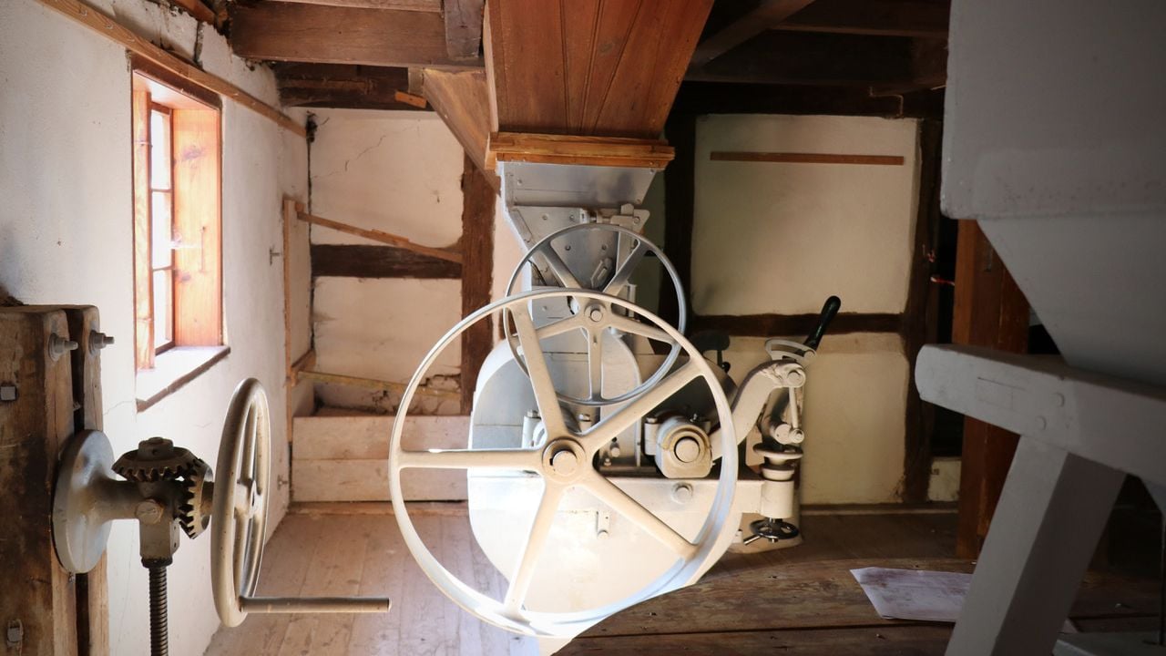 Fotoquelle: Franziska Hauser