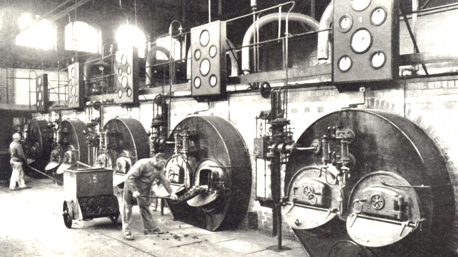 Fotoquelle: Dr Elke Seidel