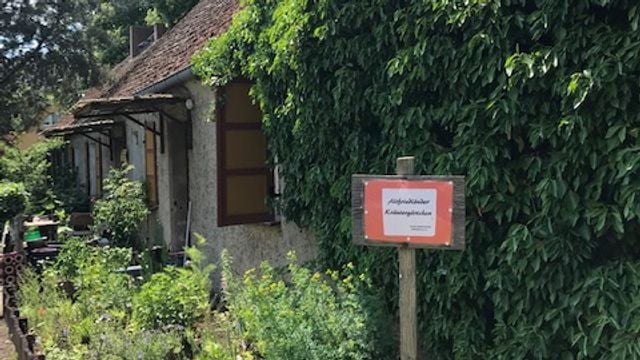 Fotoquelle: Verein Langes Haus Altfriedland