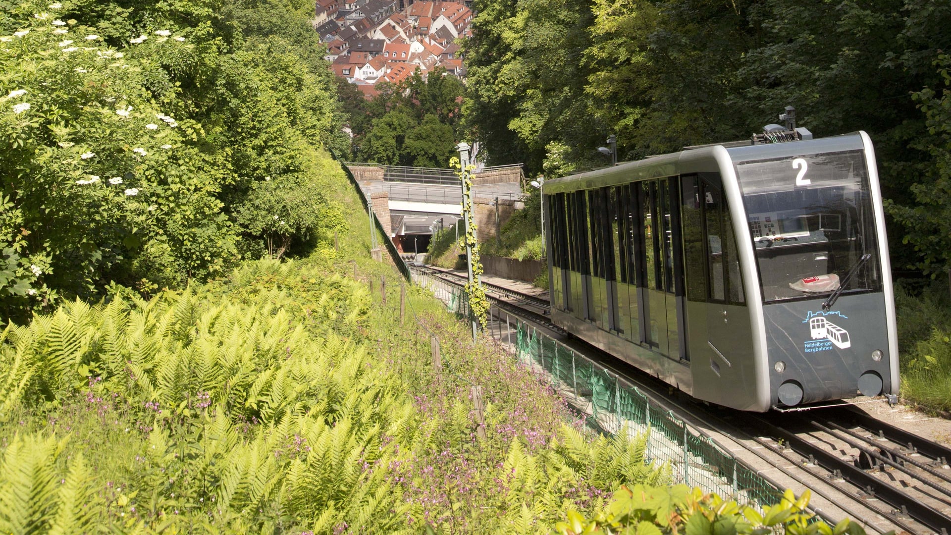 Fotoquelle: Stadtwerke Heidelberg/ Alexander Grüber