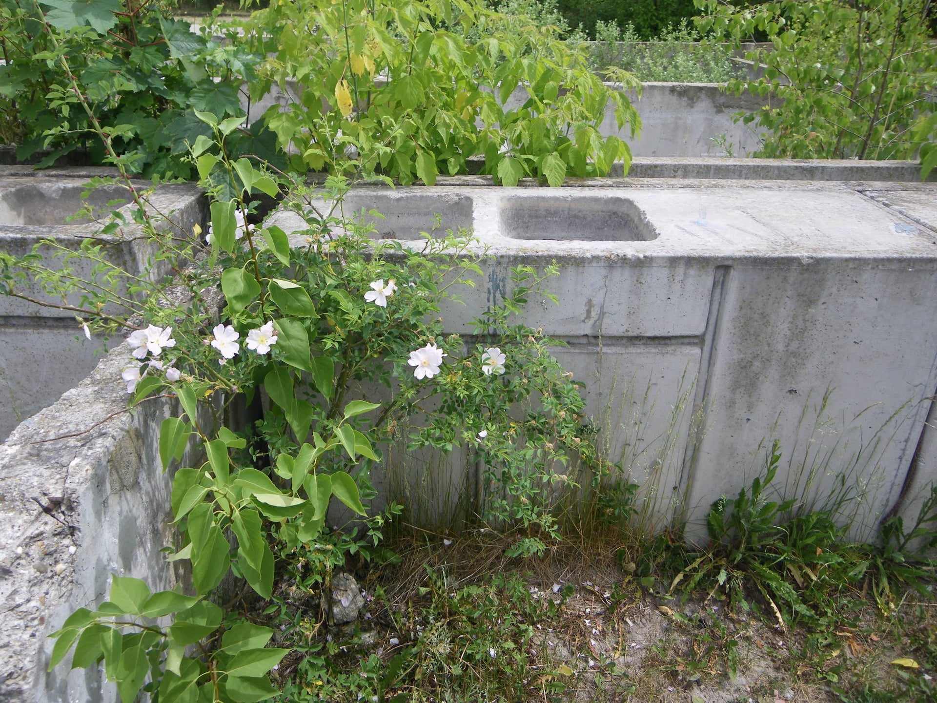 Fotoquelle: Dagmar Schmidt