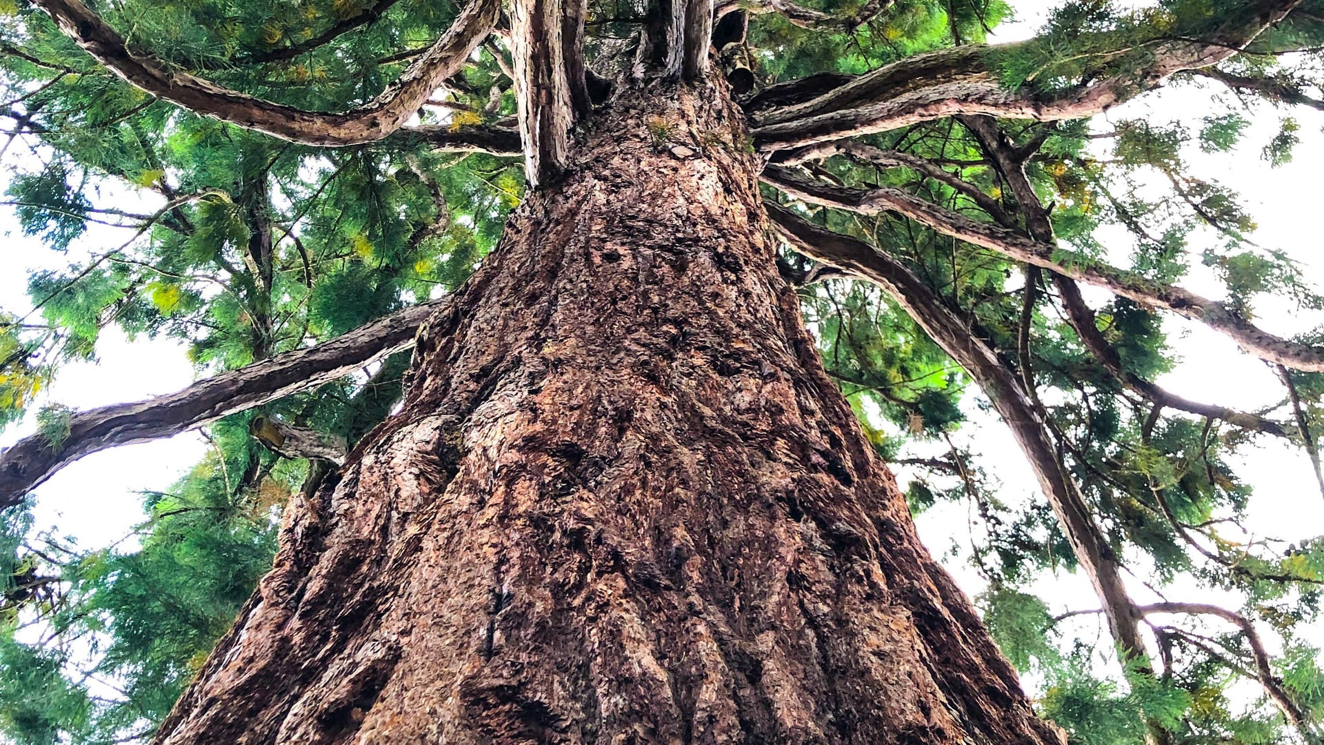Fotoquelle: Pilz/BLB NRW
