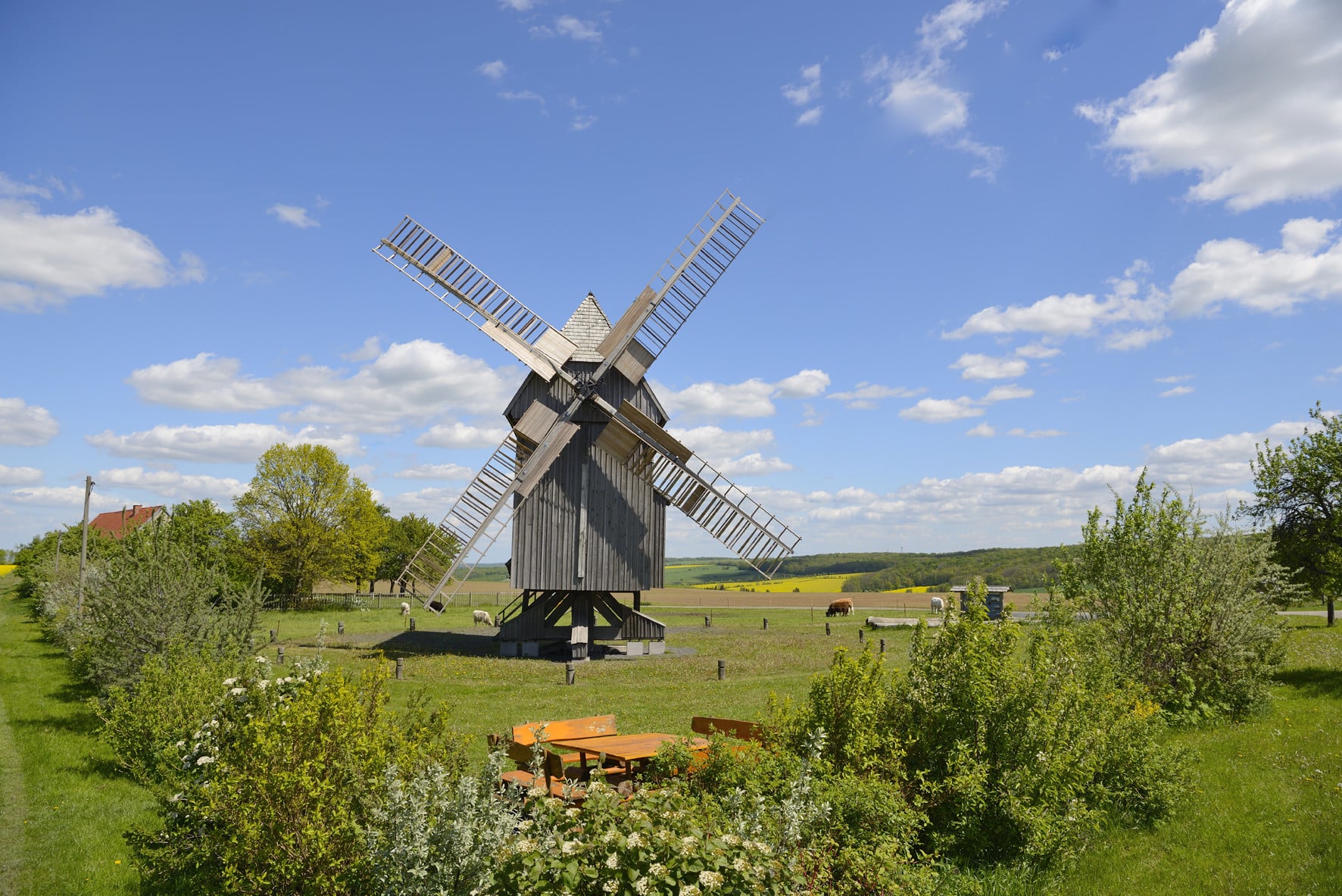 Fotoquelle: Karsten Seifert