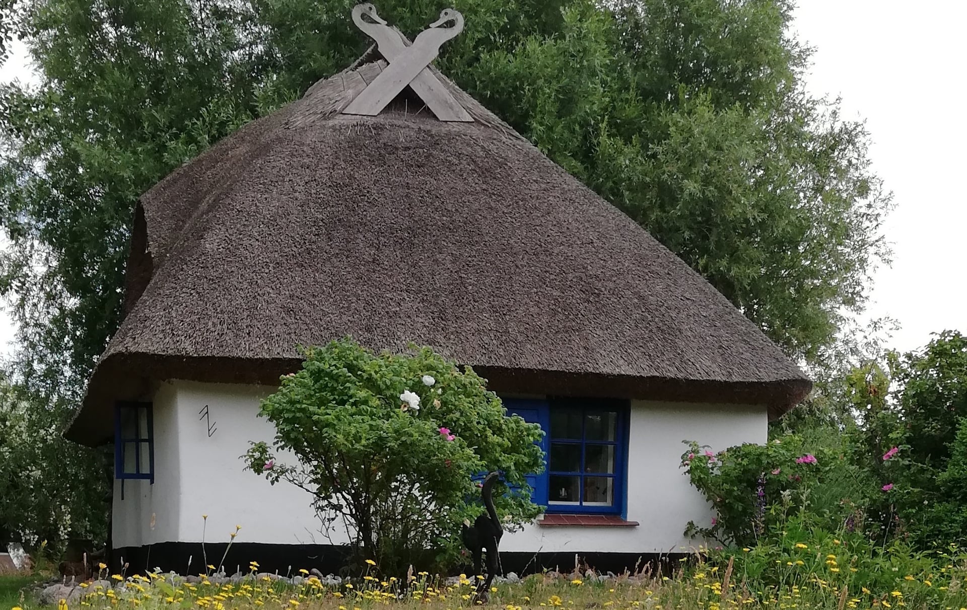 Fotoquelle: Sabine Reichwein