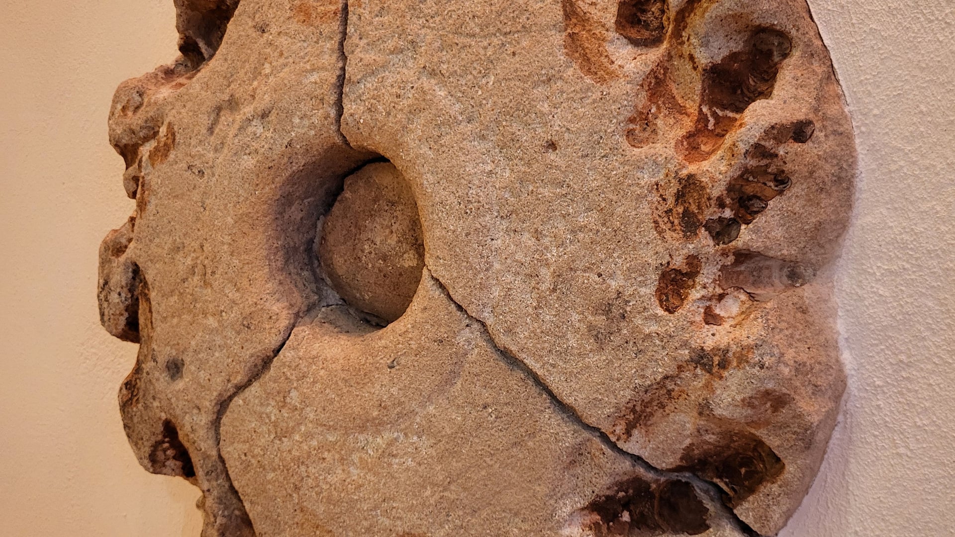 Fotoquelle: Matthias Bender