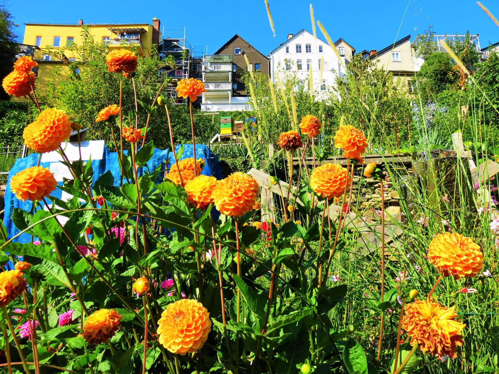 Fotoquelle: Geschichtsverein Weilburg/Matthias Knaust