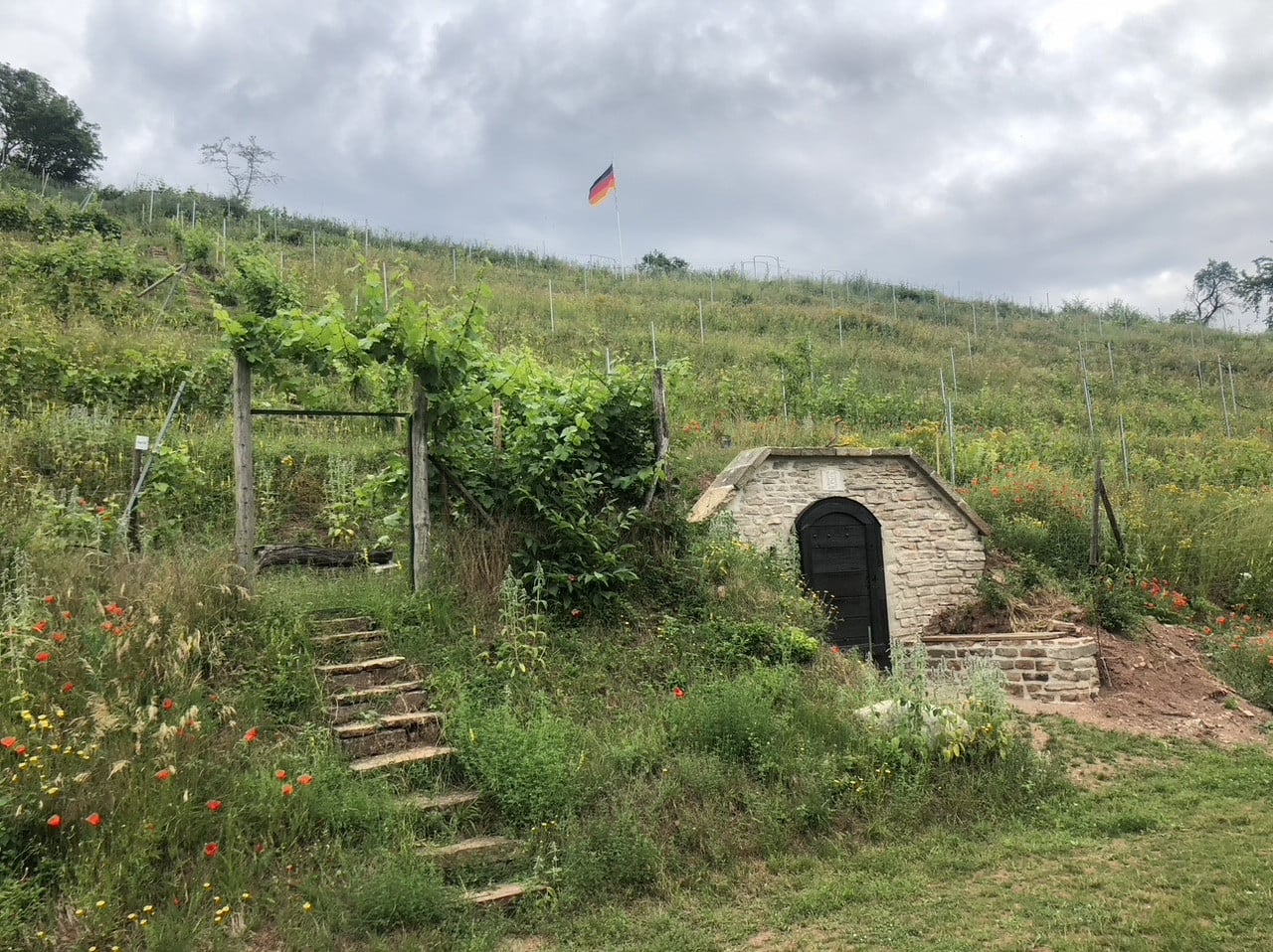 Fotoquelle: Gerd Hornickel