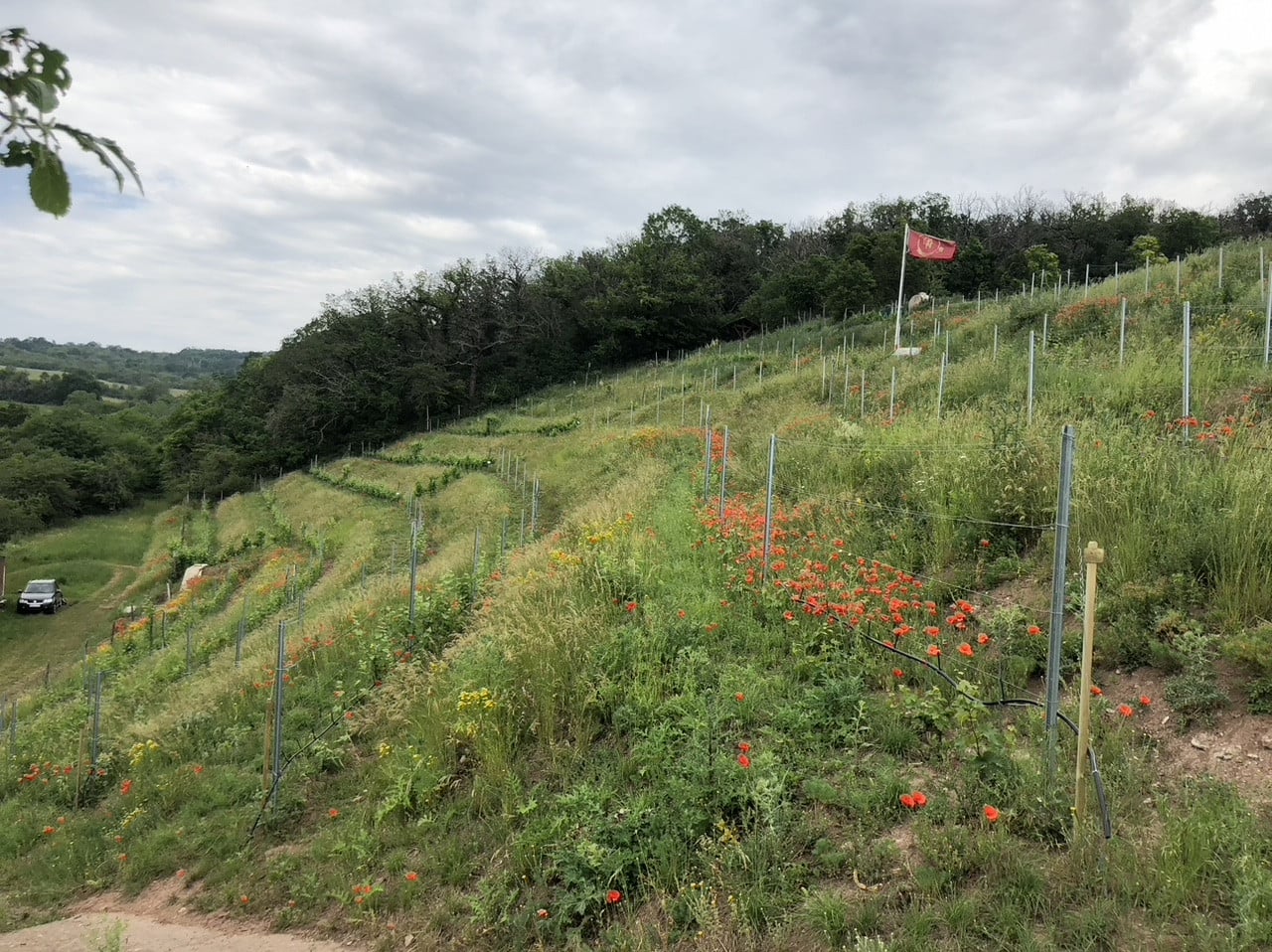 Fotoquelle: Gerd Hornickel