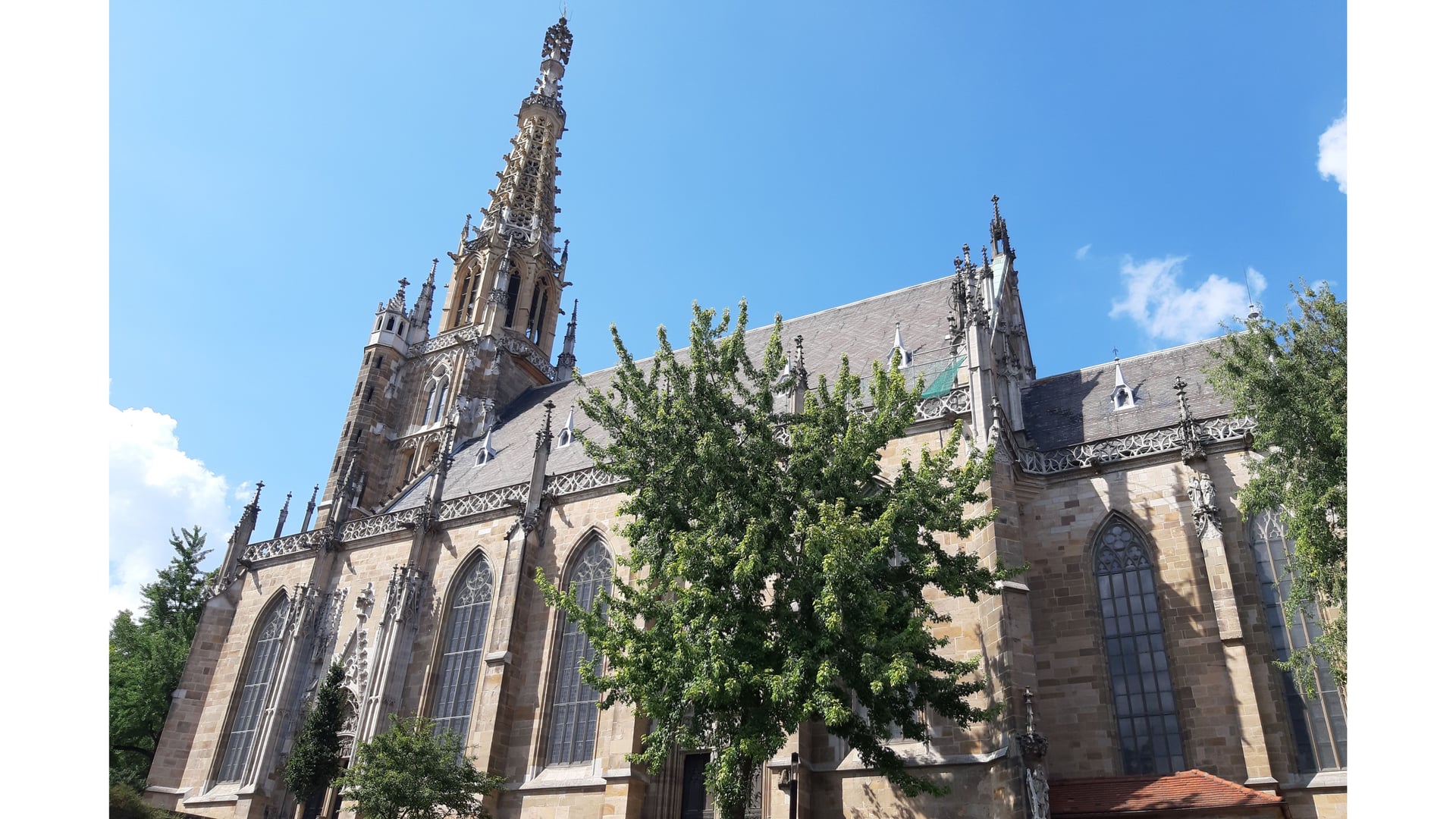 Fotoquelle: Peter Dietl