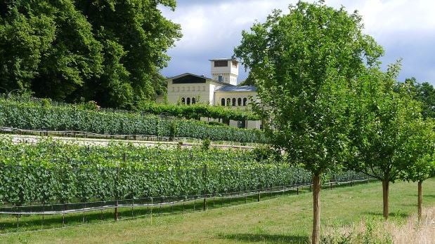 Fotoquelle: Villa Jacobs