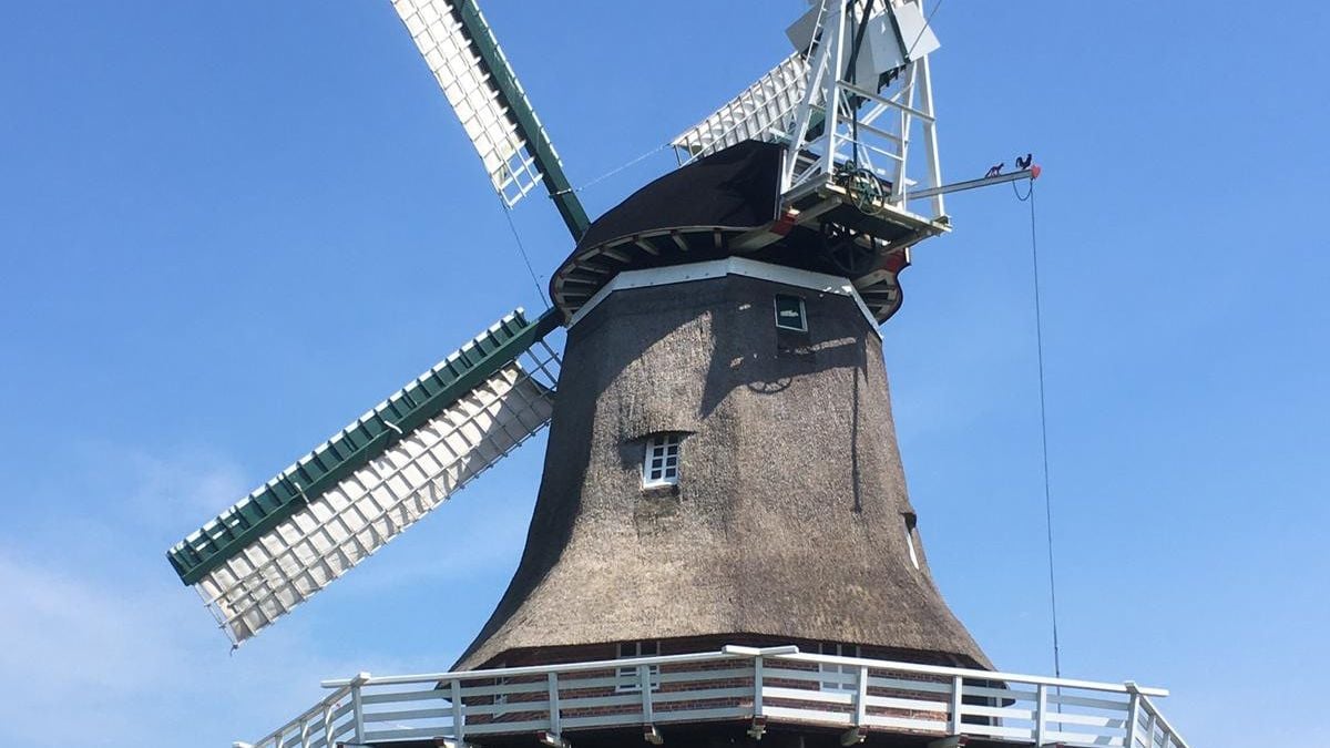 Fotoquelle: David Reitsema