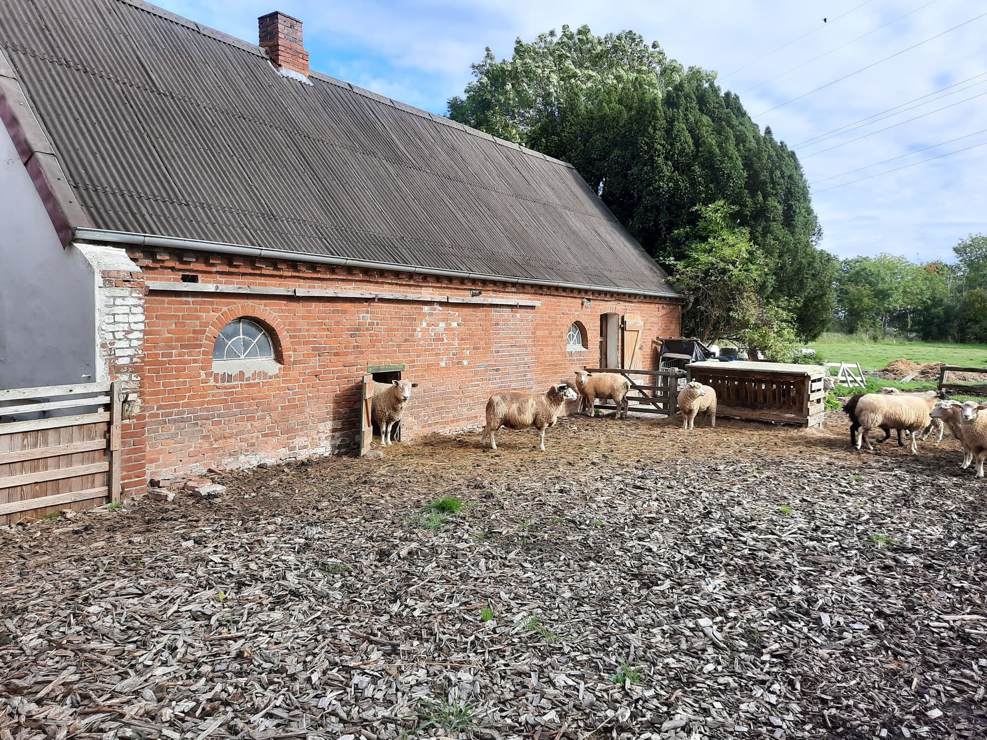 Fotoquelle: MMM.Neumann