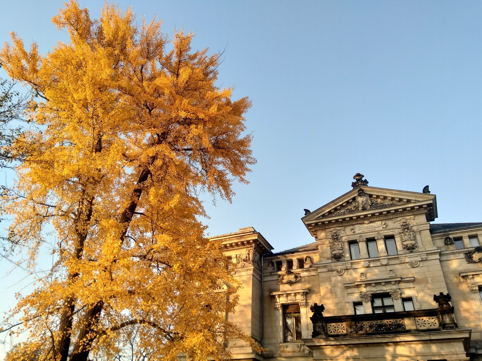 Fotoquelle: FAirbund e. V.