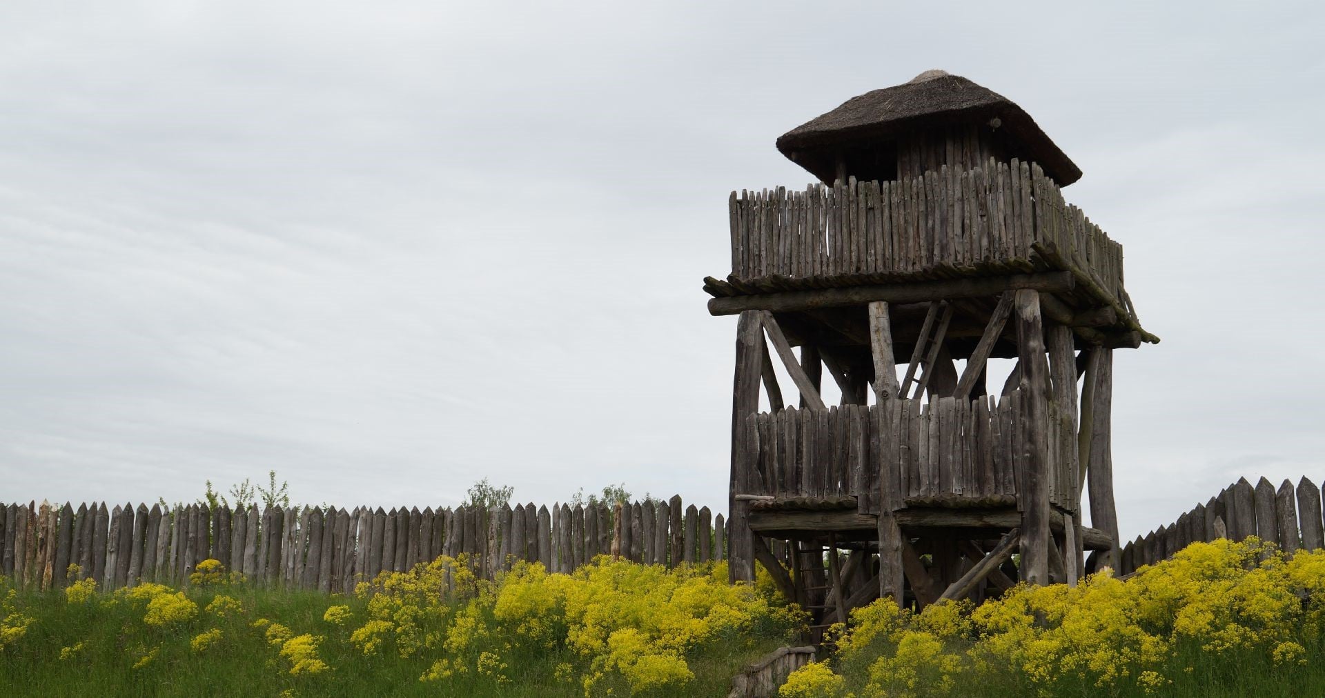 Fotoquelle: Elgina Müller