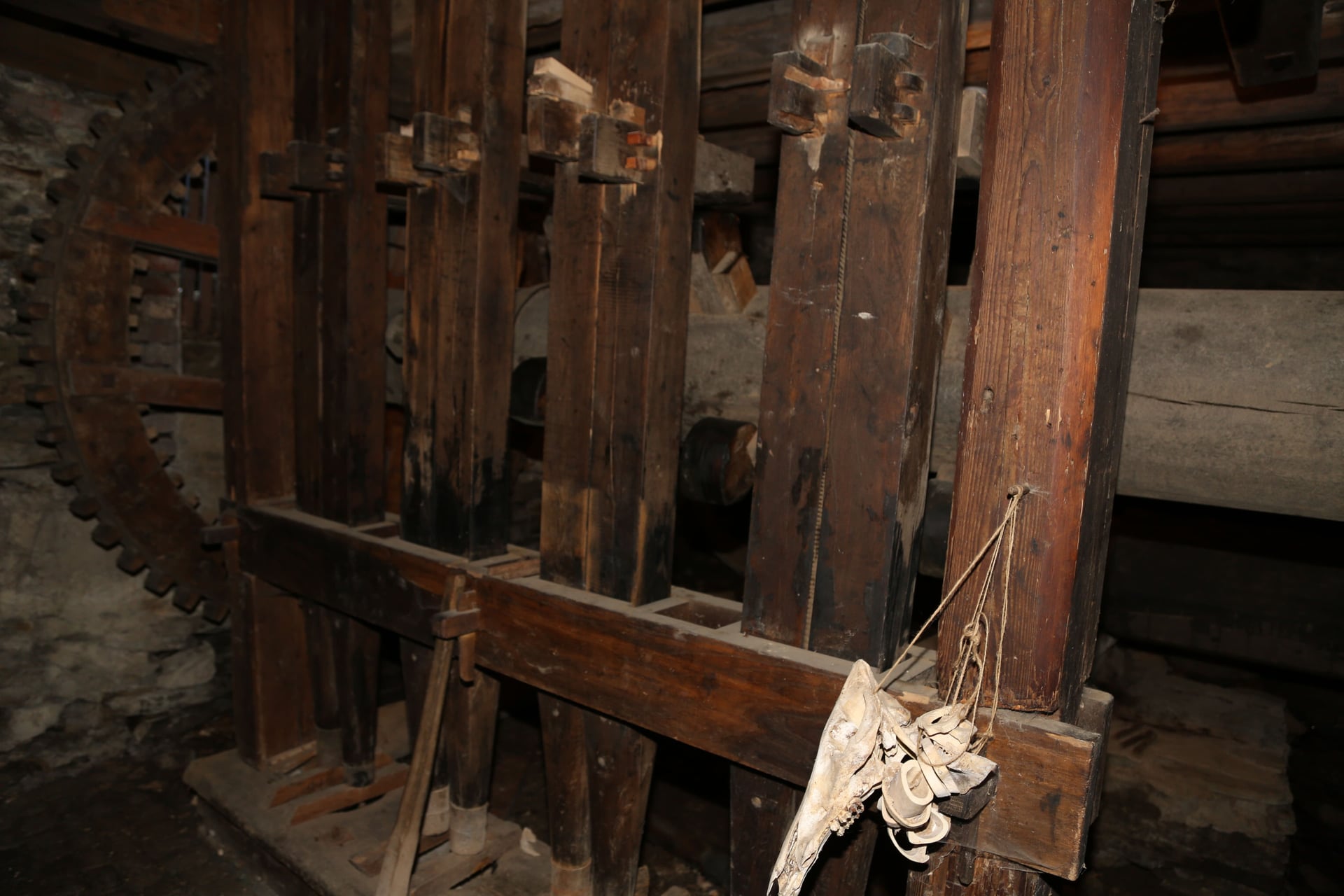 Fotoquelle: Paula Stötzer