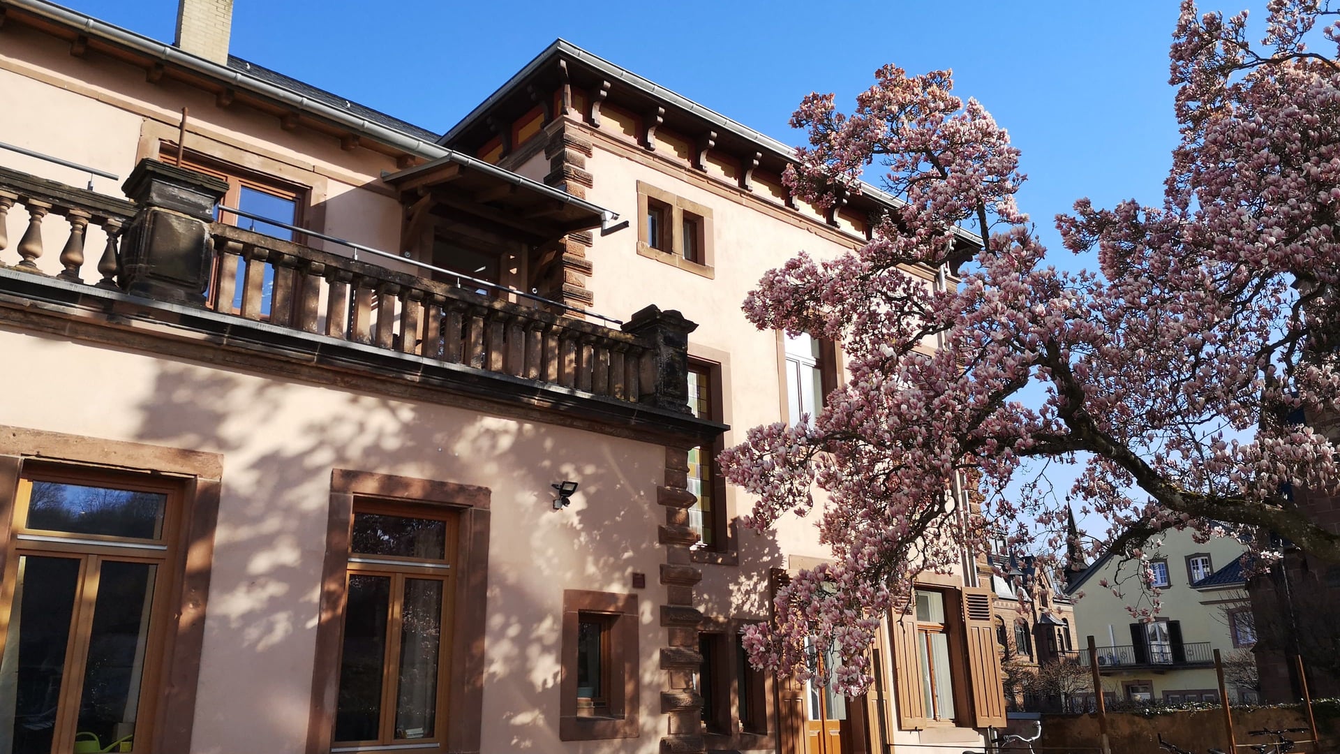 Fotoquelle: Dr.Caroline Wolf