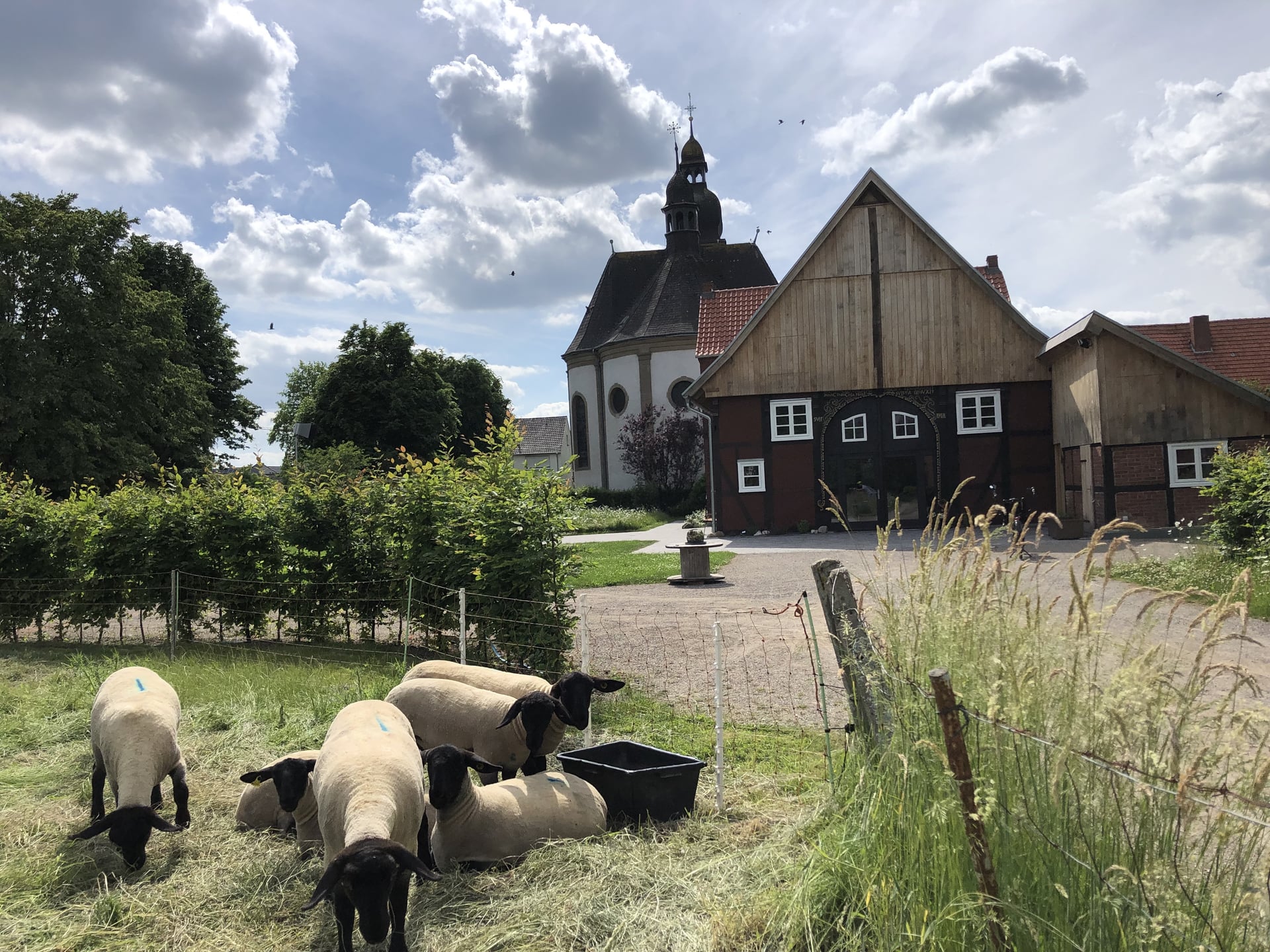 Fotoquelle: H.J.Budde