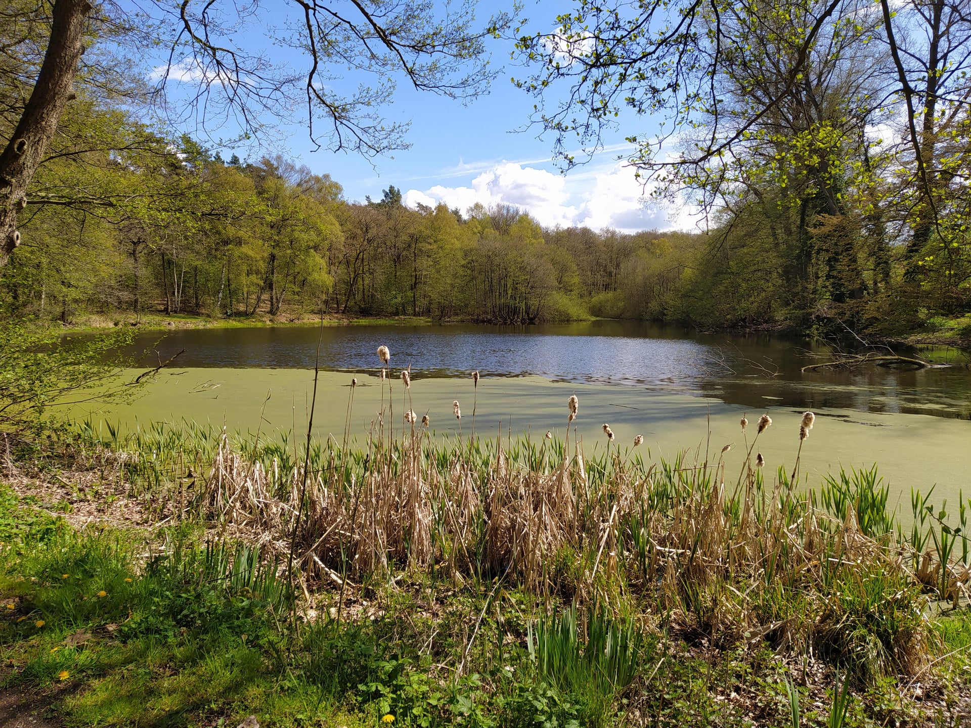 Fotoquelle: Hansestadt Buxtehude